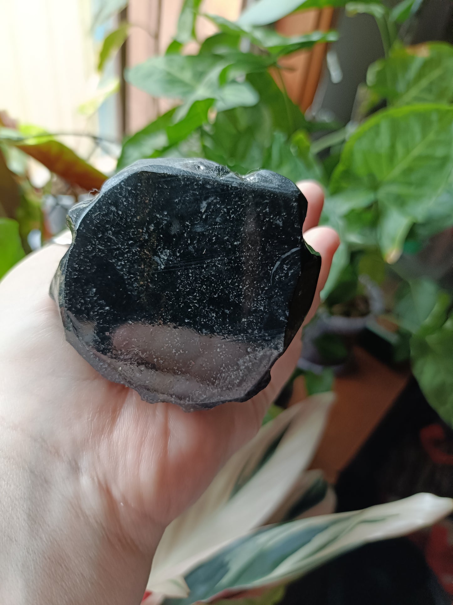 Black Marble Leopard on Tree Carving - 760g
