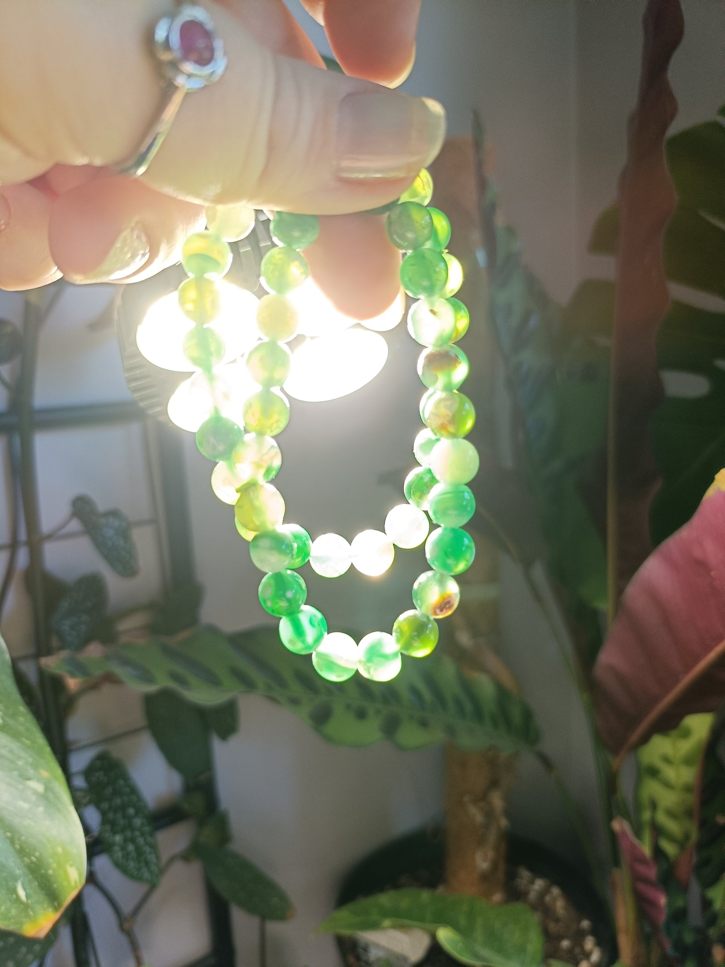 Green Orca Agate Beaded Stretch Bracelet - 8mm