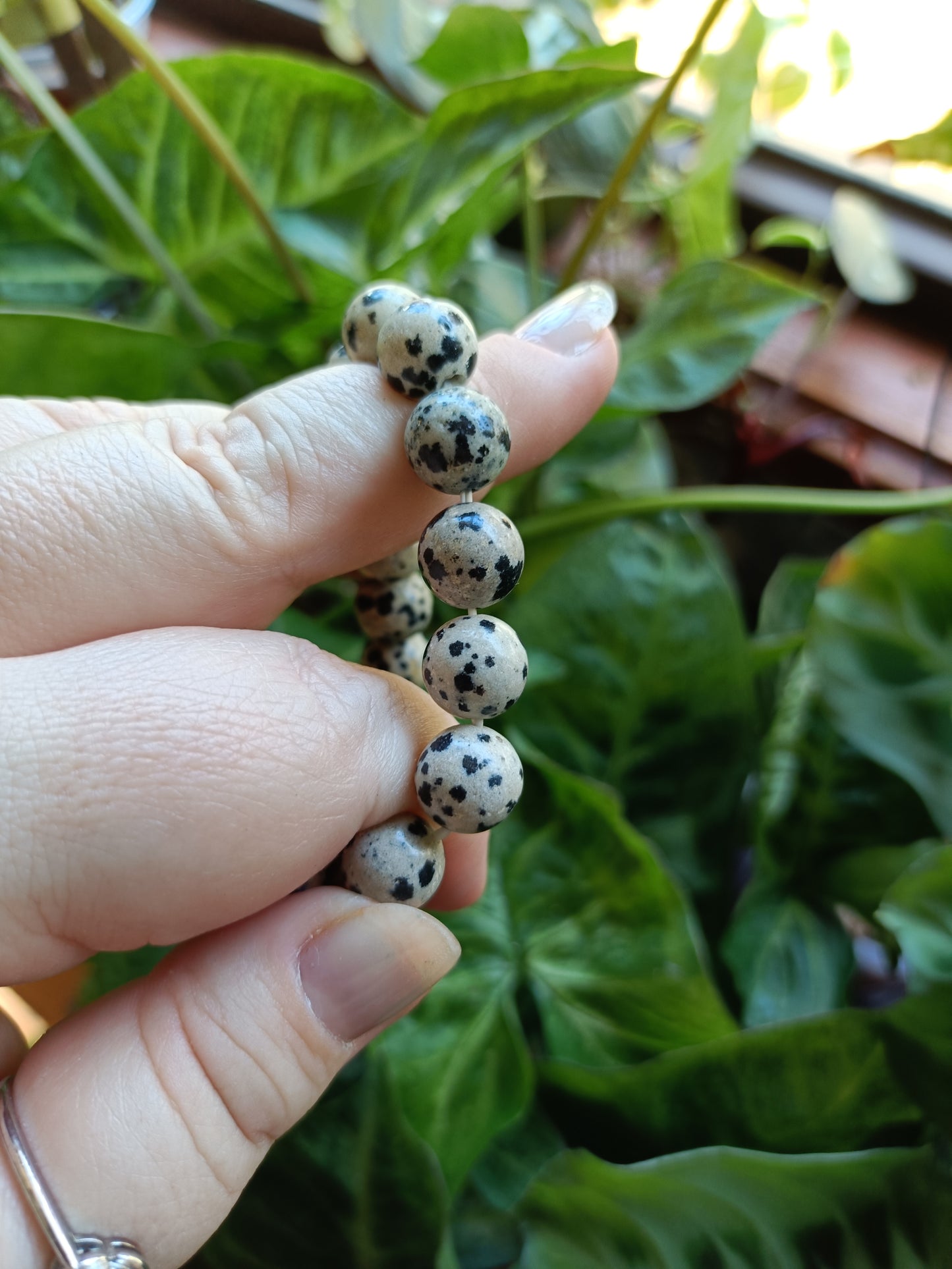 Dalmatian Stone Round Beaded Stretch Bracelet - 10mm