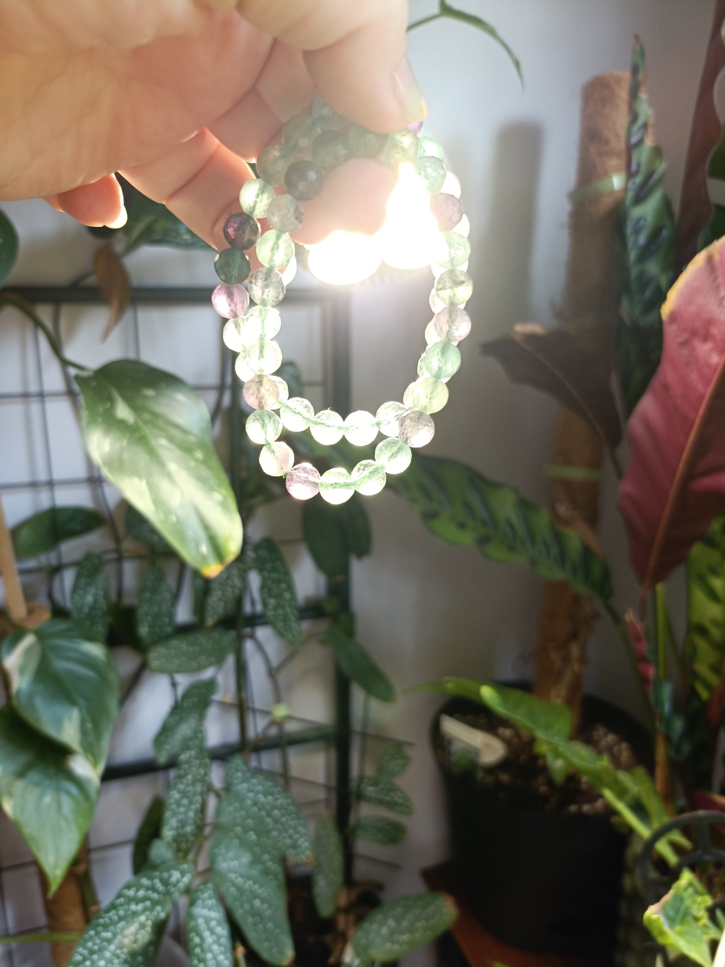 Faceted Fluorite Beaded Stretch Bracelet - 8mm