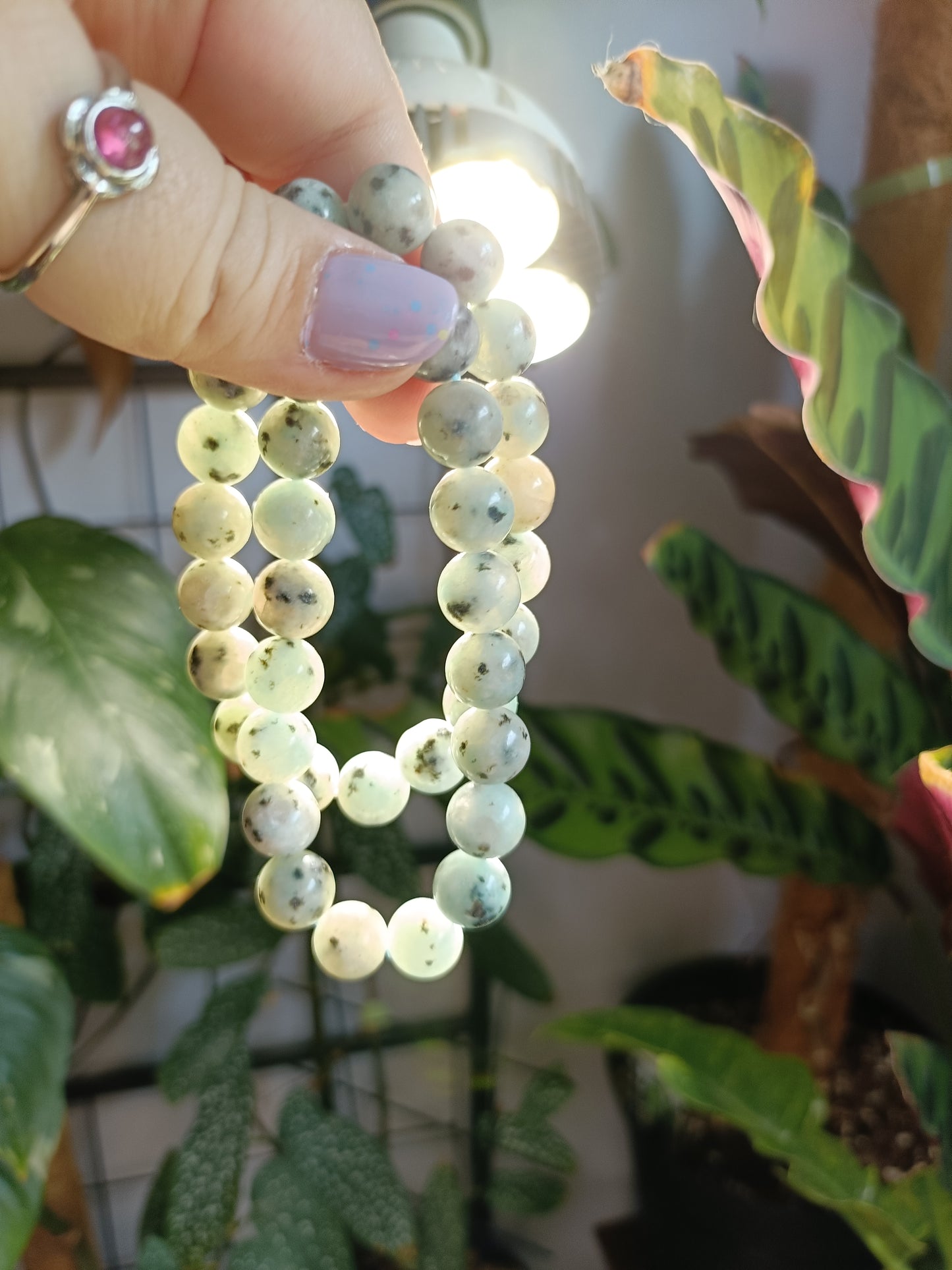 Kiwi Jasper Round Beaded Stretch Bracelet - 10mm