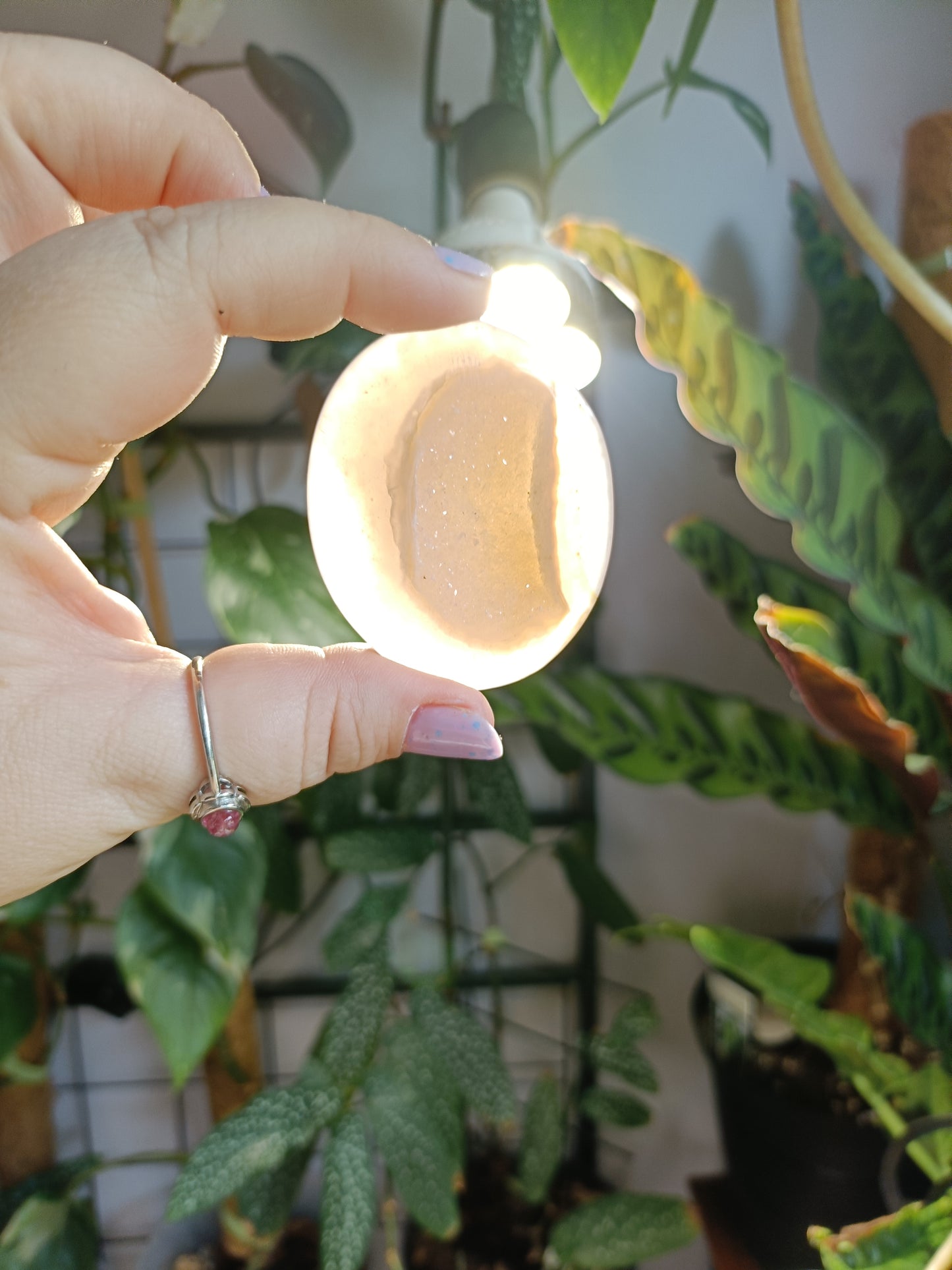 Pink Agate Druzy Palm Stones - 40-50g