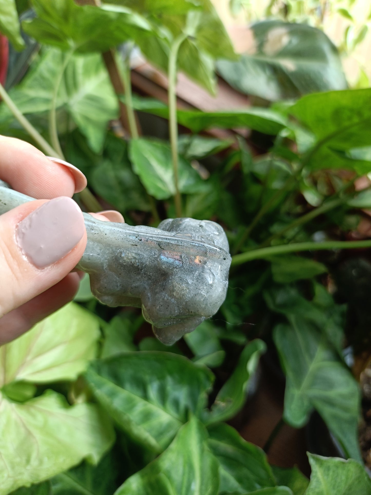 Labradorite Sitting Giraffe Carving - 85-95g