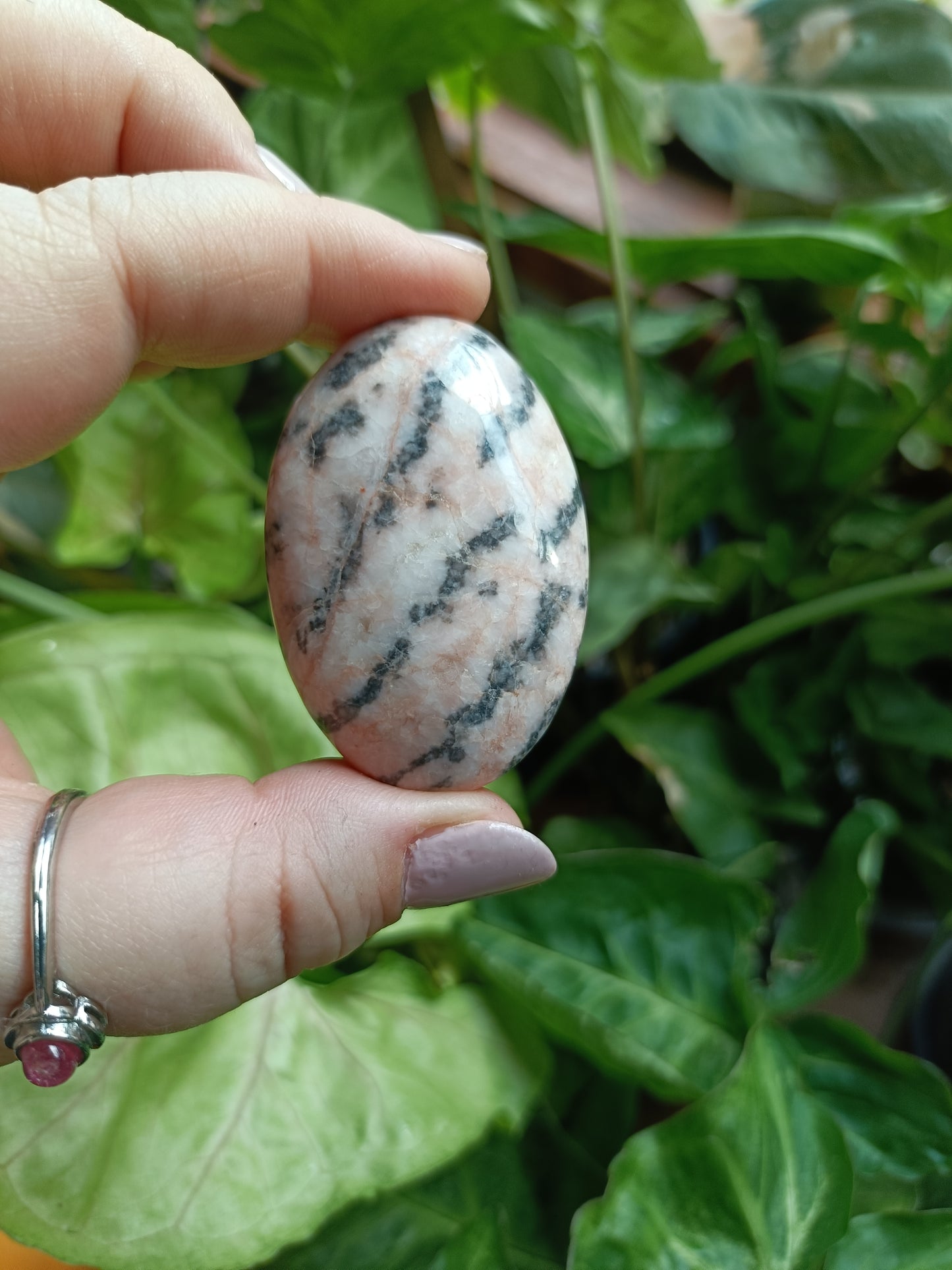 Pink Zebra Jasper Palm Stones - 40-60g
