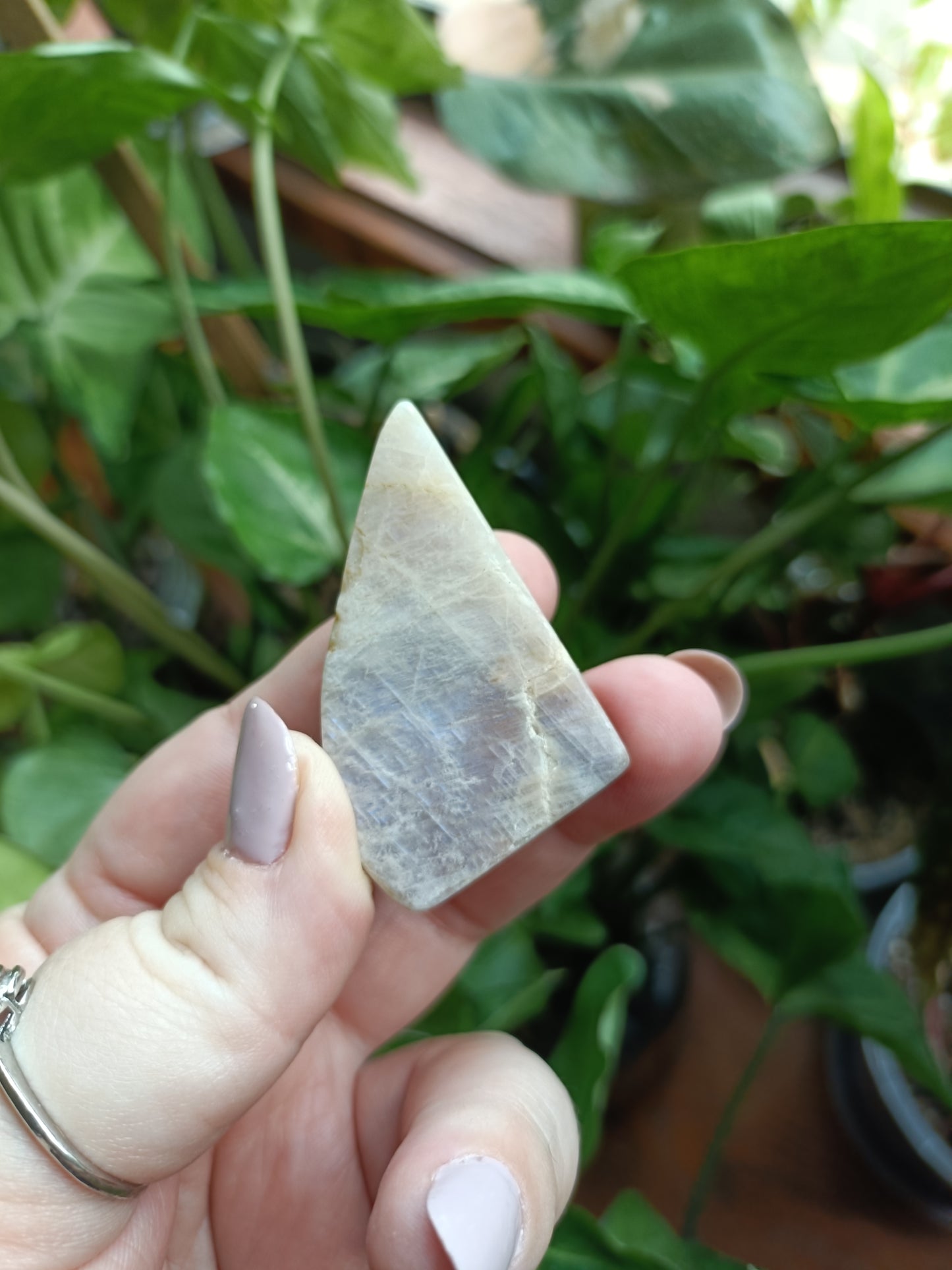 Peach Moonstone Freeform Carvings - 50g