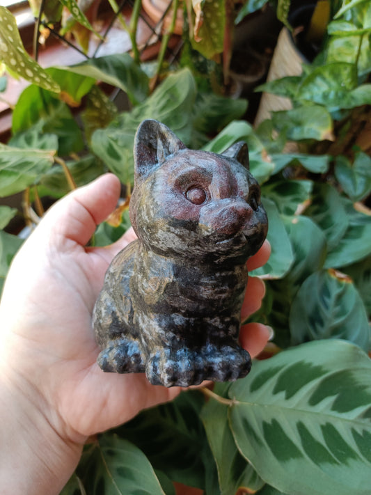 Garnet and Anthophyllite Sitting Cat Carving - 734g