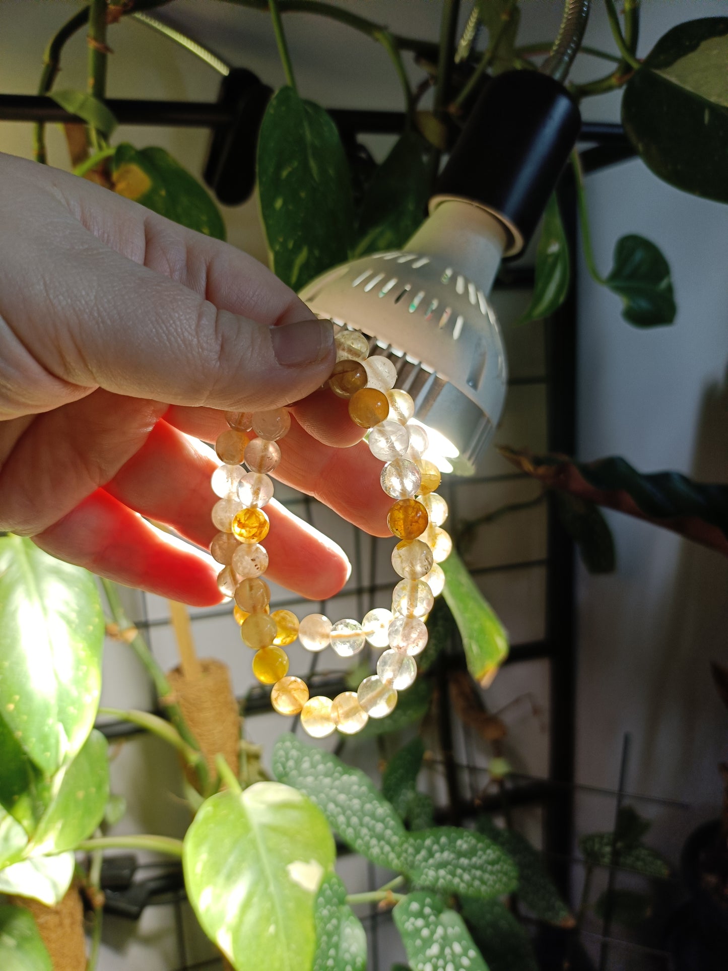 Golden Healer Quartz Beaded Stretch Bracelet - 8.5mm