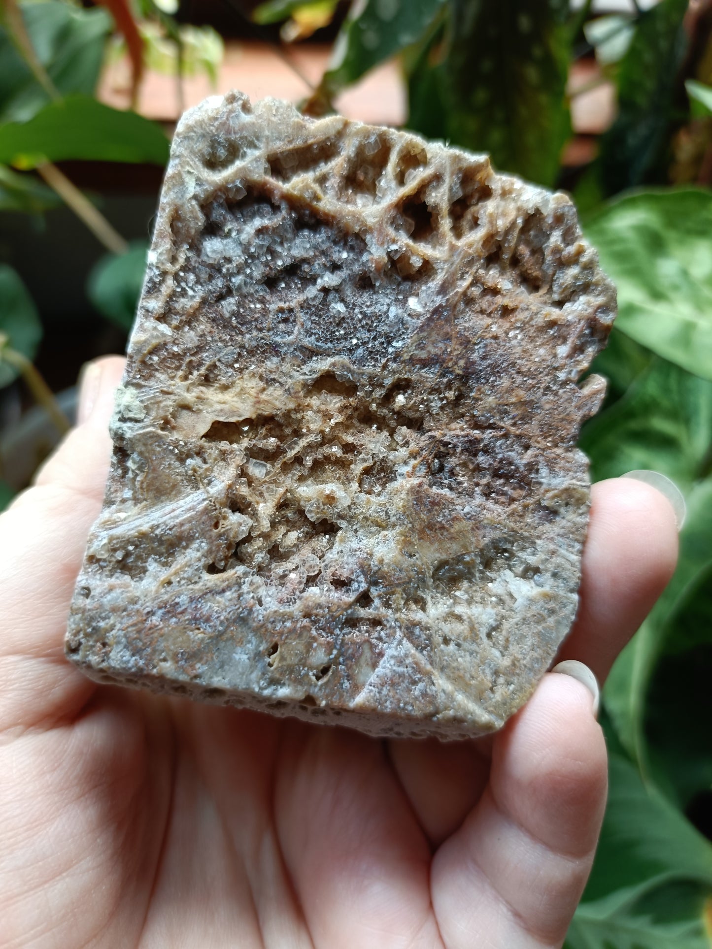 Aura Coated Brecciated Quartz Chalcedony Rooster - 467g