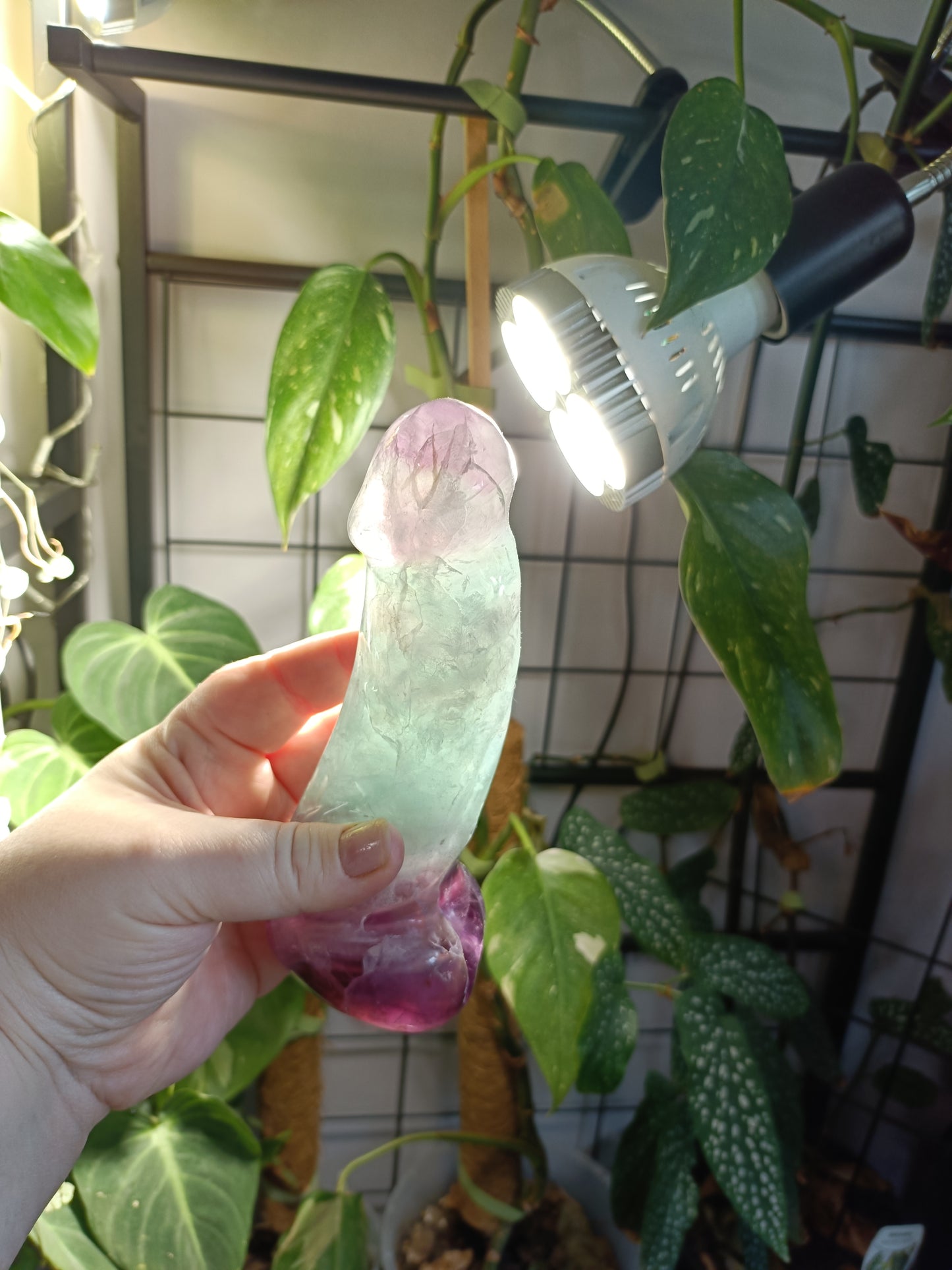 Rainbow Fluorite Ding Ding - 809g