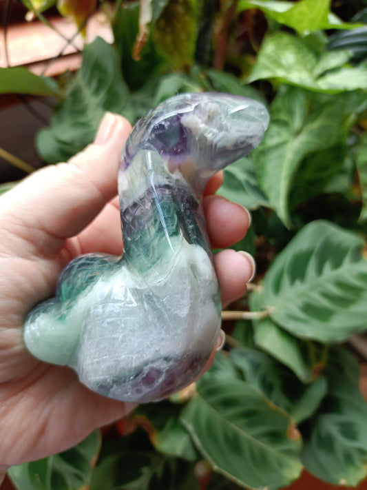 Rainbow Fluorite Cobra - 360g