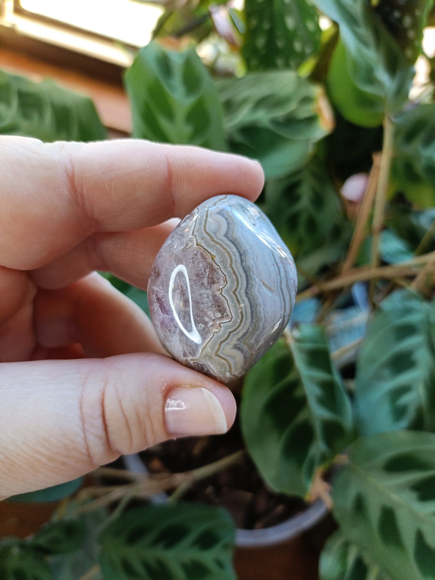 Large Amethyst & Mexican Lace Agate Tumbles - 30-50g