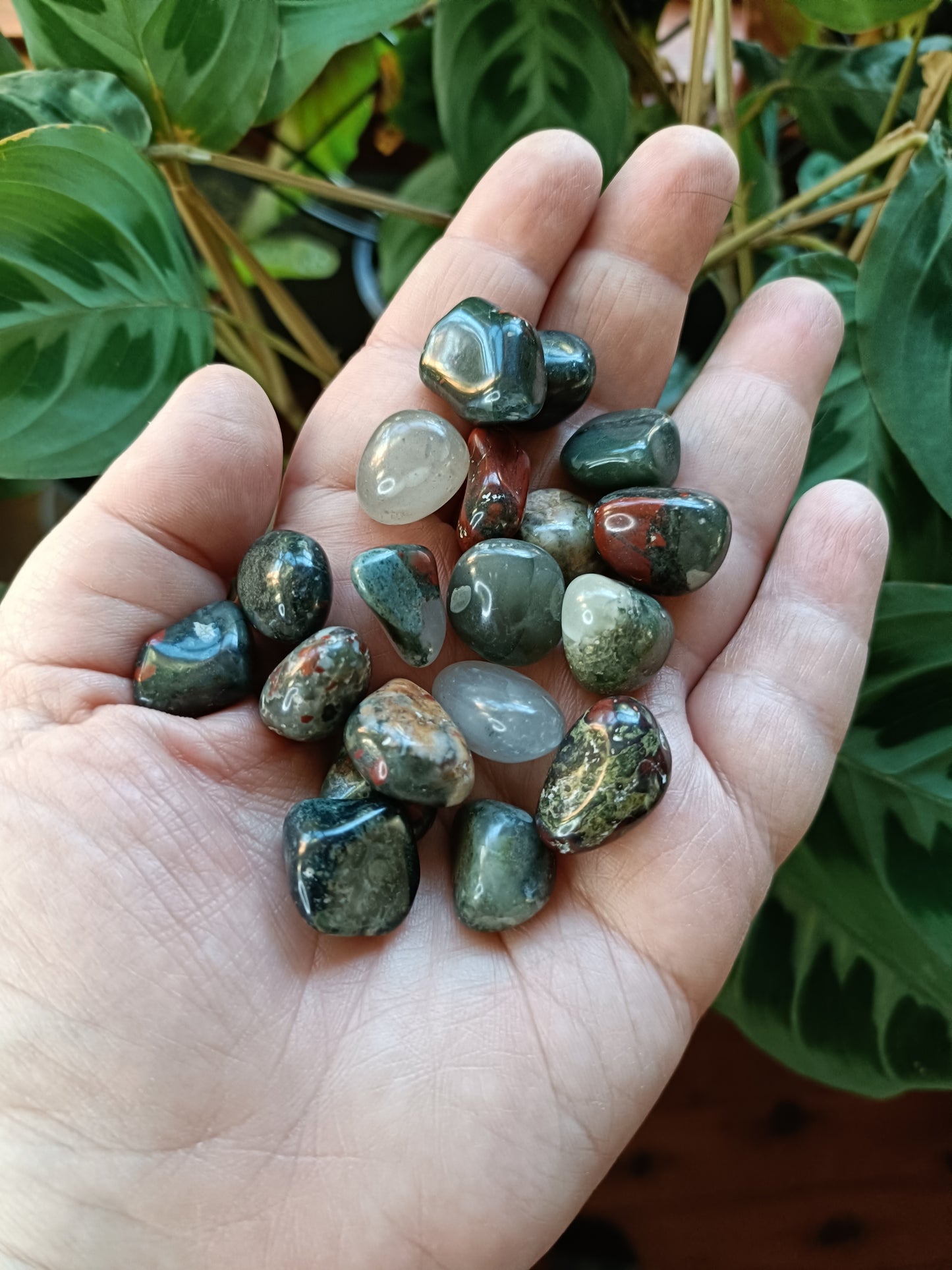 African Bloodstone SMALL Tumbles - 50g