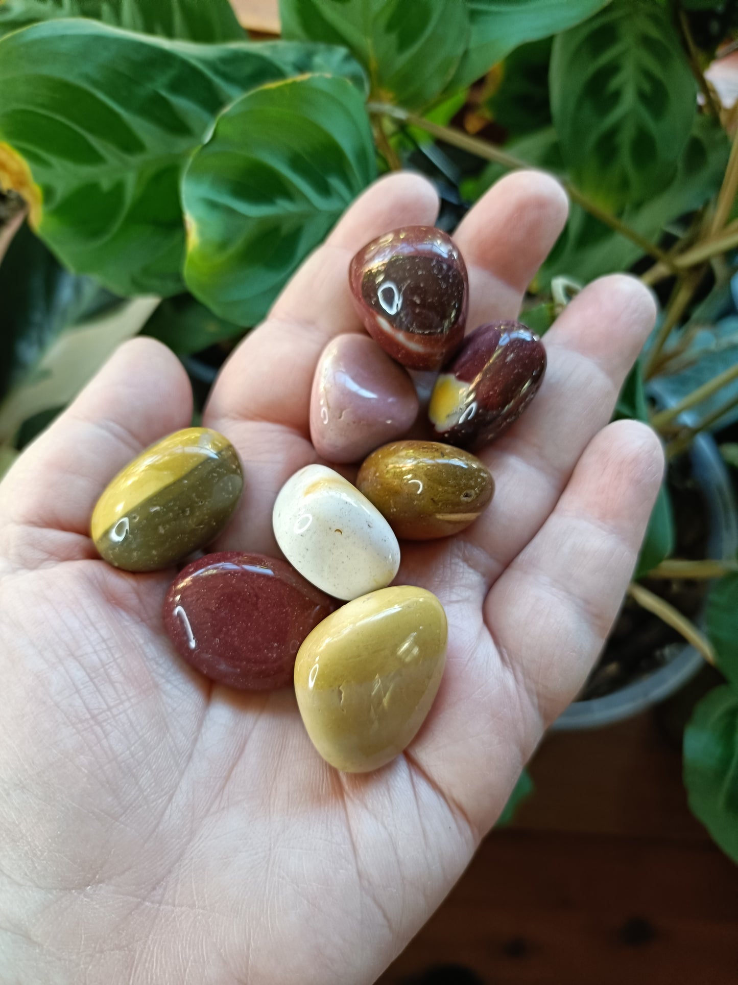 Mookaite Tumbles Tumbles - 50g