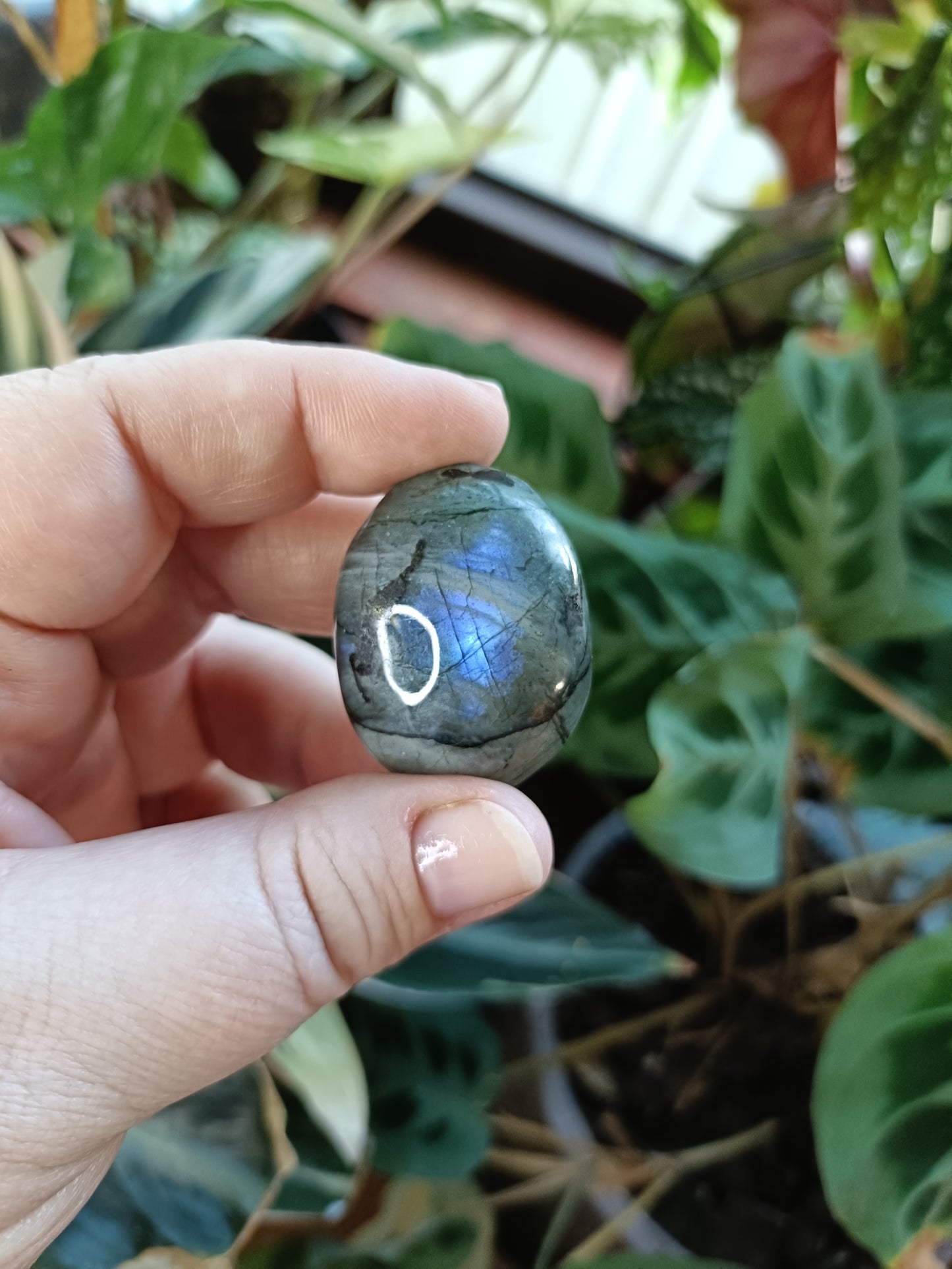 Small Labradorite Palm Stone - 20-30g