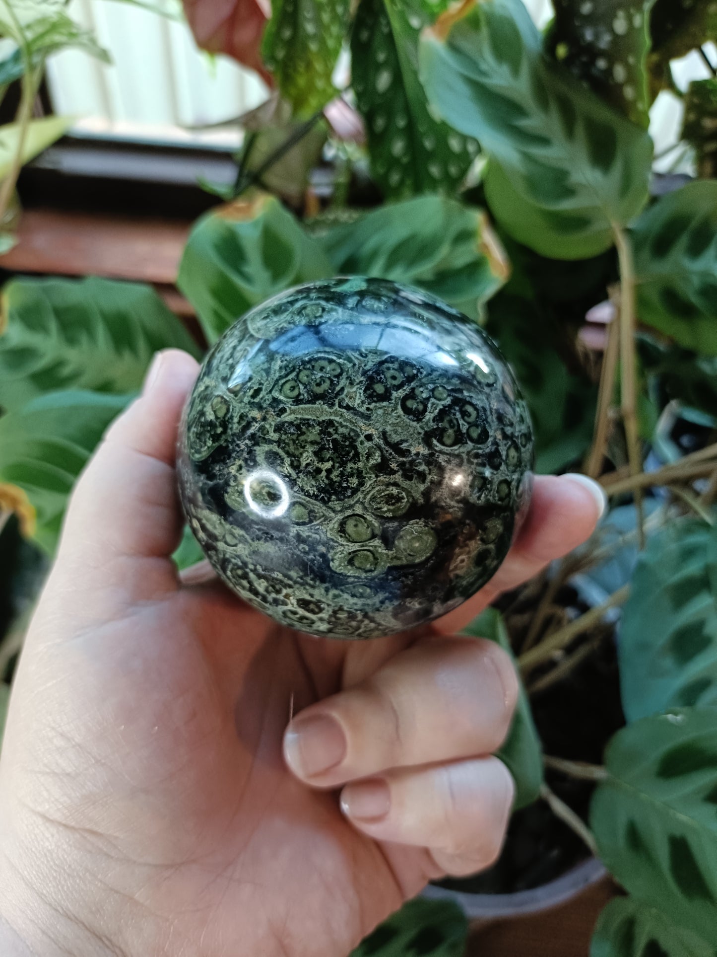 Kambaba Jasper Sphere - 598g