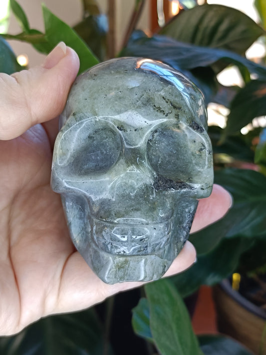 Labradorite Skull Carving - 468g