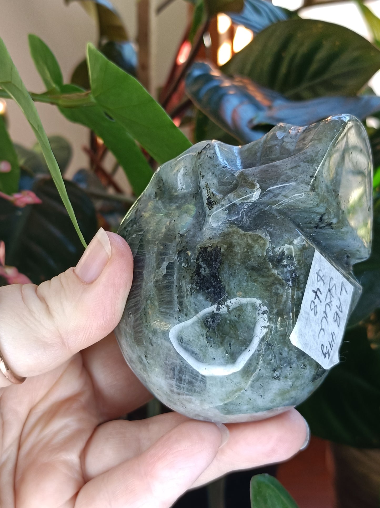Labradorite Skull Carving - 473g