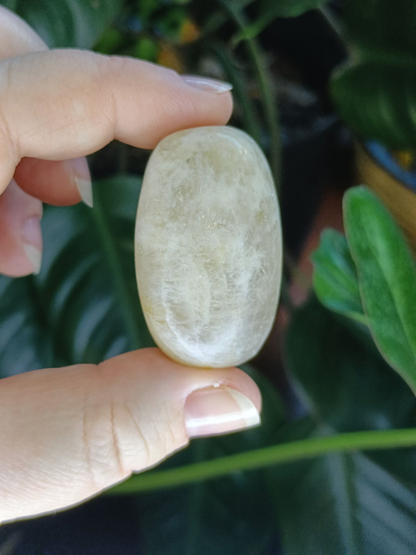 Blue Flash Moonstone Tumbles - 50g