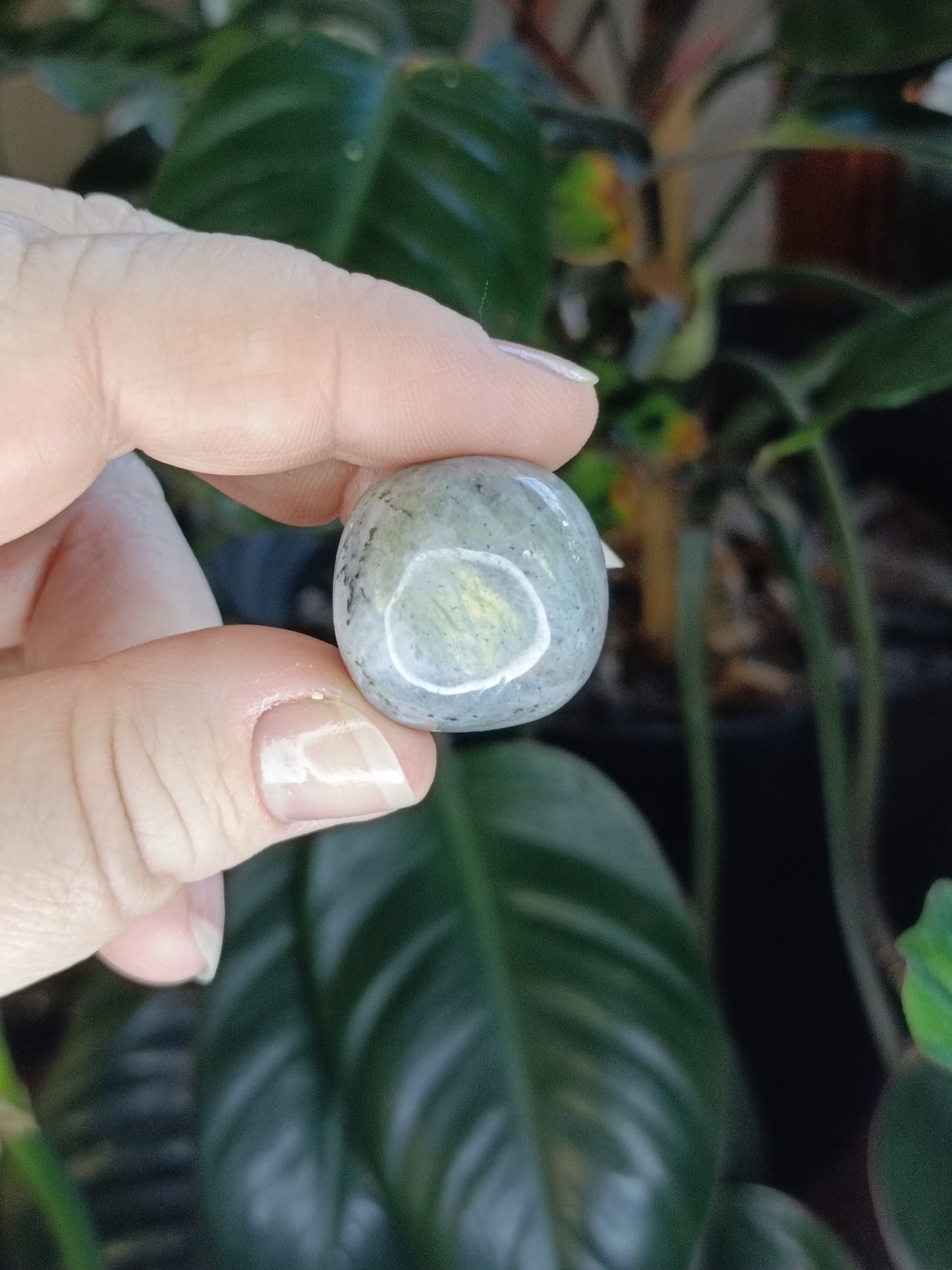 Labradorite Round Tumble Stone - 10-20g