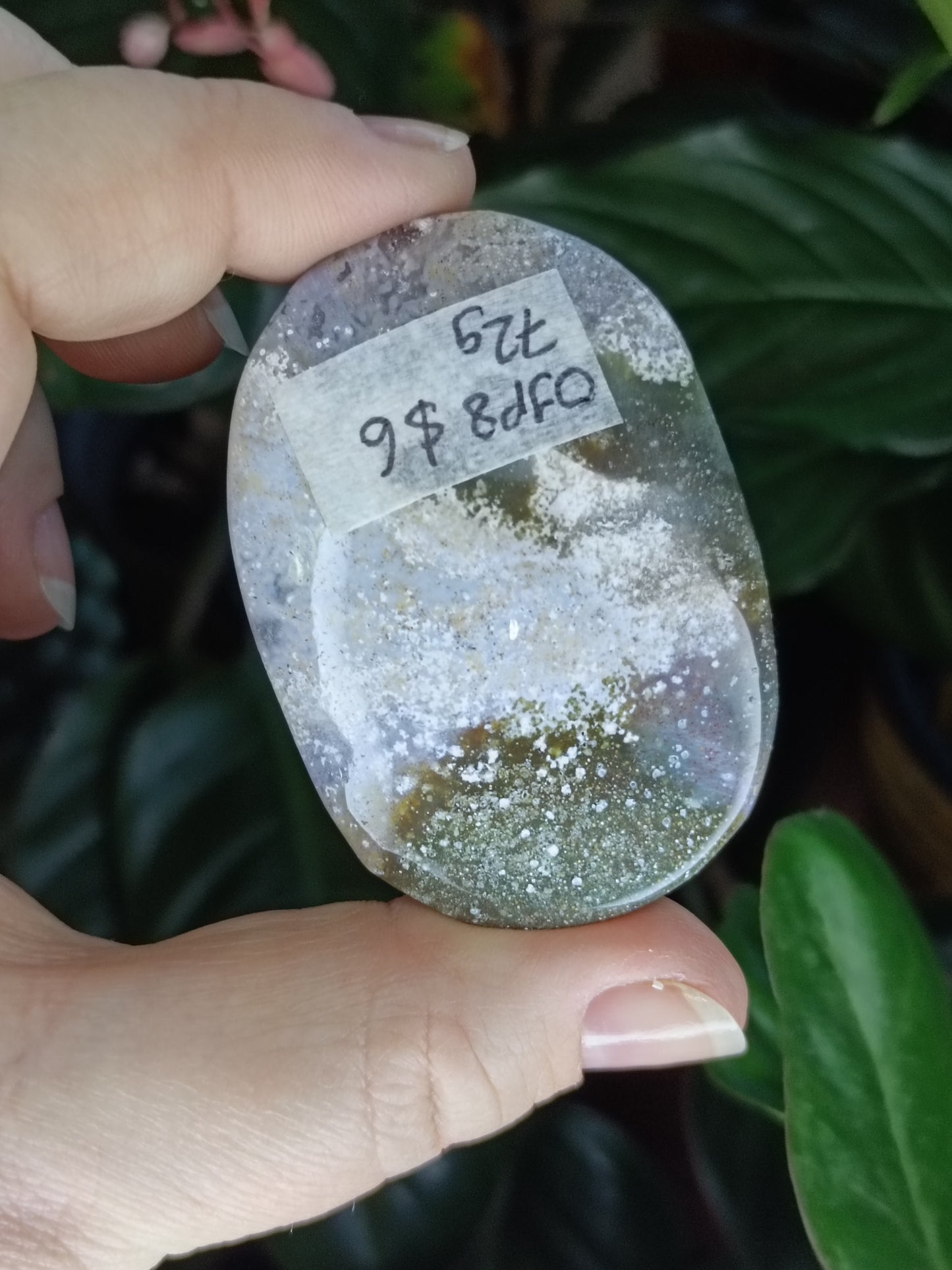 Ocean Jasper Palmstone - 72g