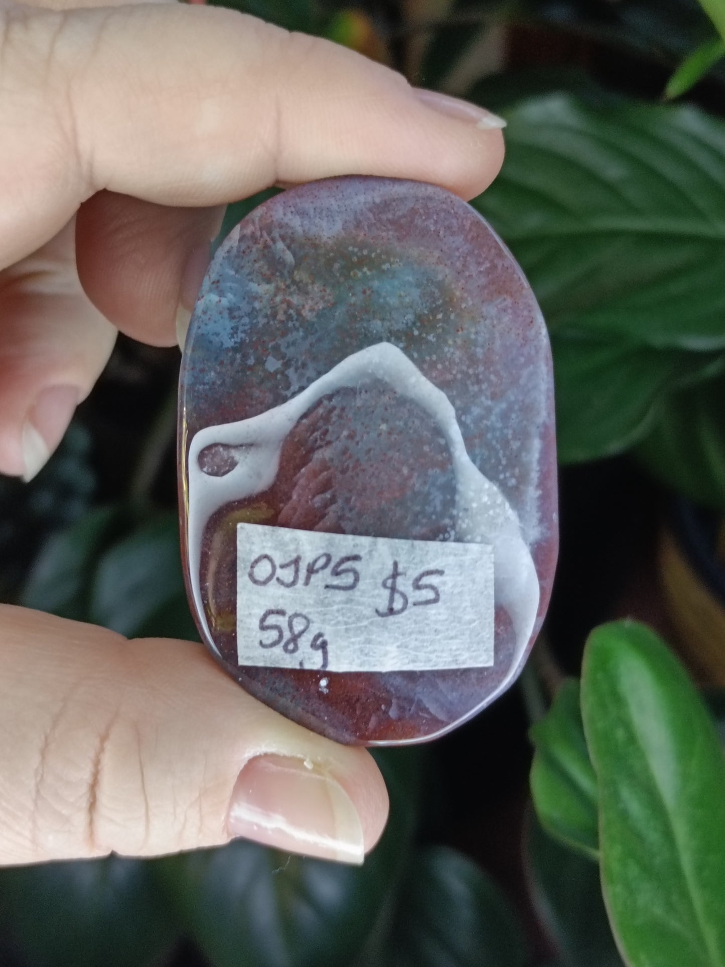 Ocean Jasper Palmstone - 58g