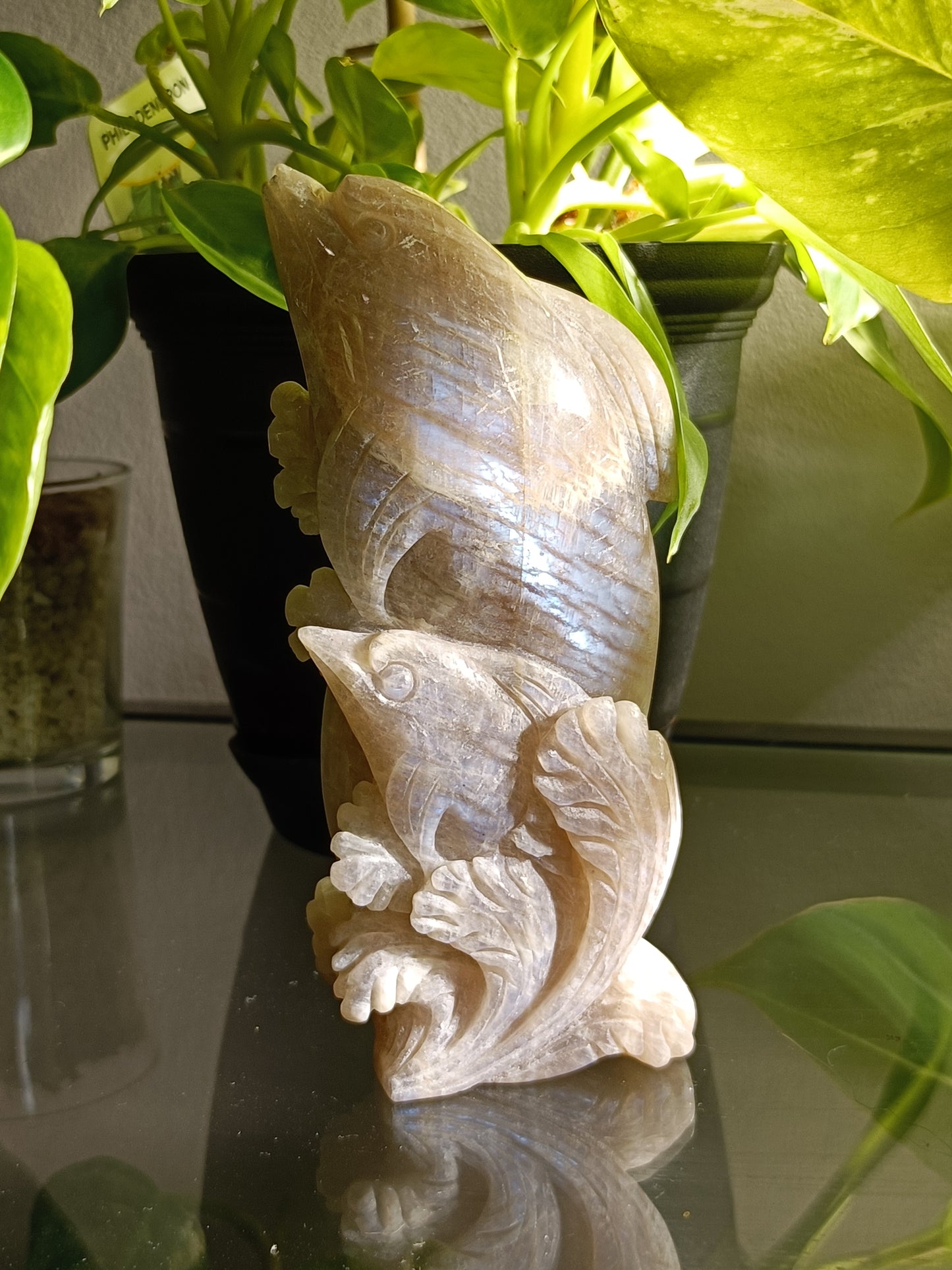 Blue Flash Moonstone Dolphin Mother & Baby Carving - 372g