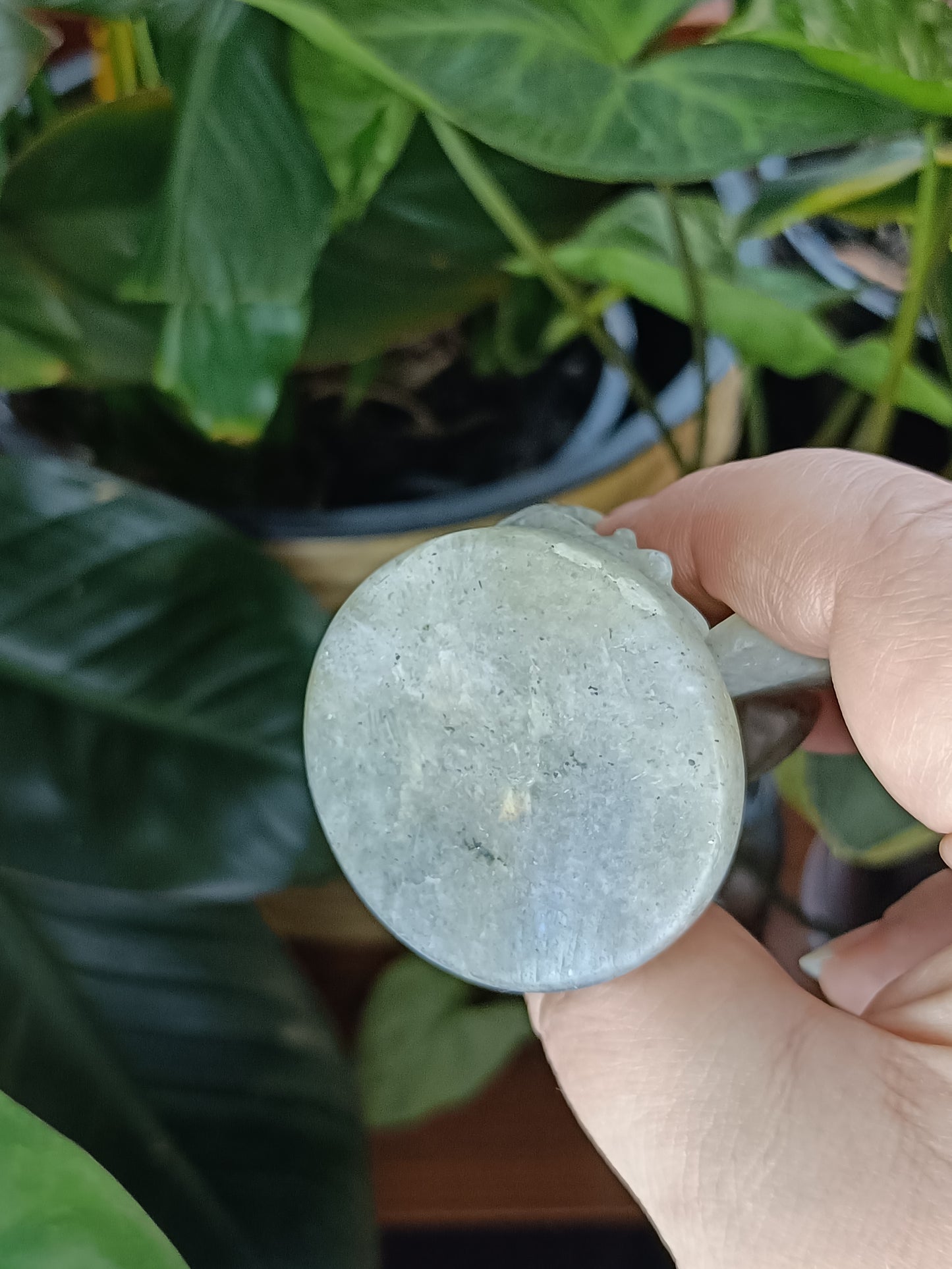 Labradorite Guardian Dragon Carving - 100g