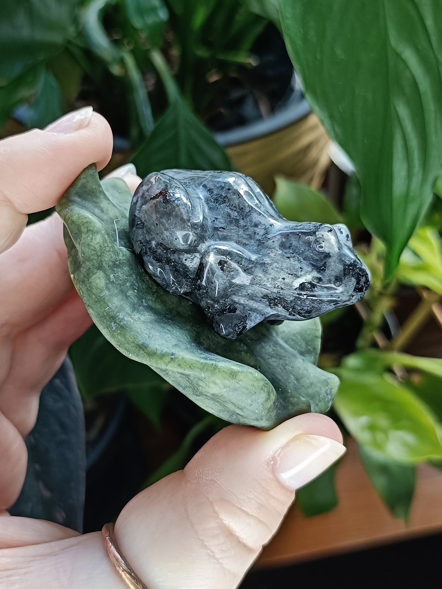 Frog on Lily Pad Small Carving - 80-110g