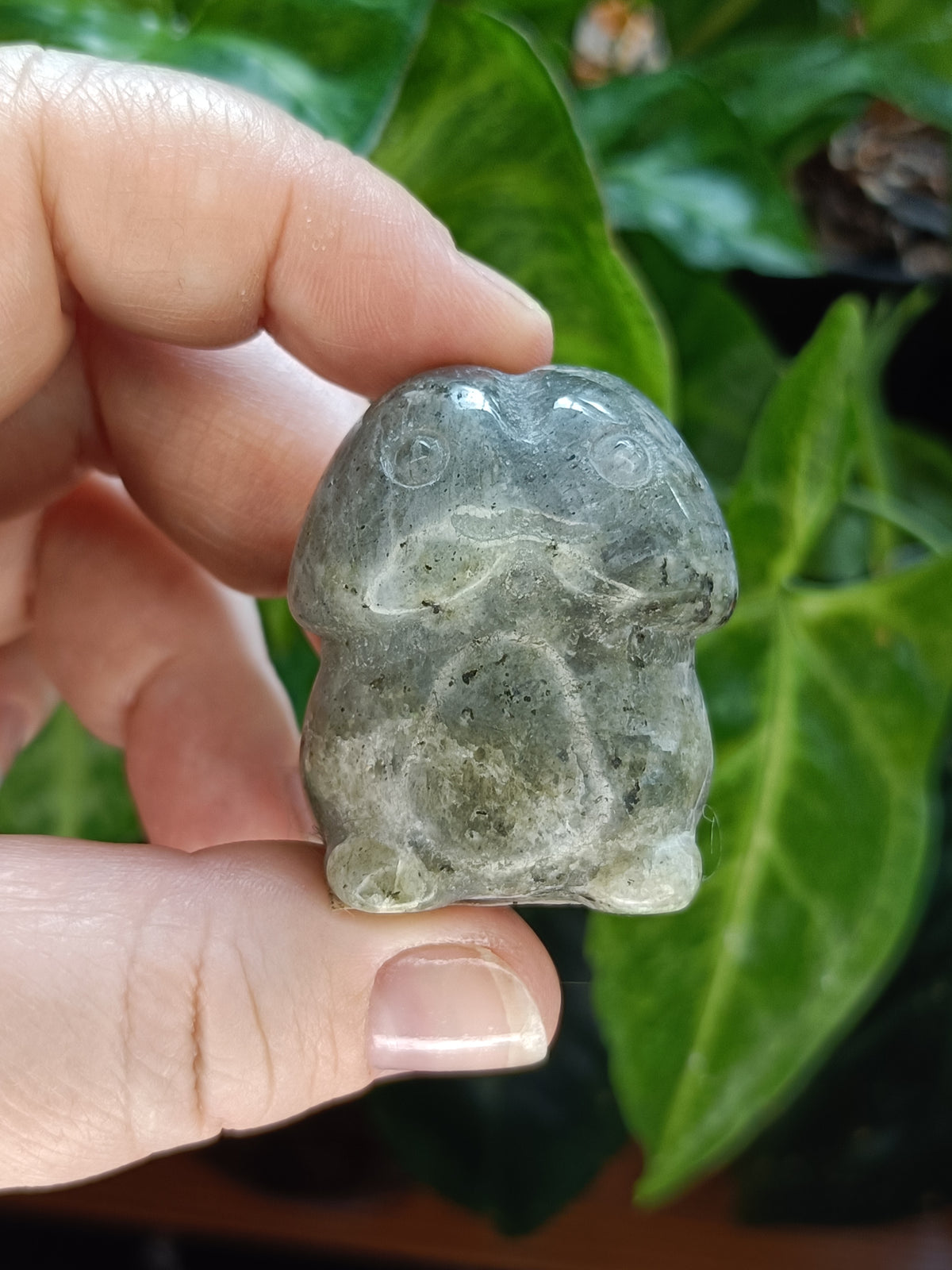 Happy Mini Mushroom Ding Dings - 20-40g