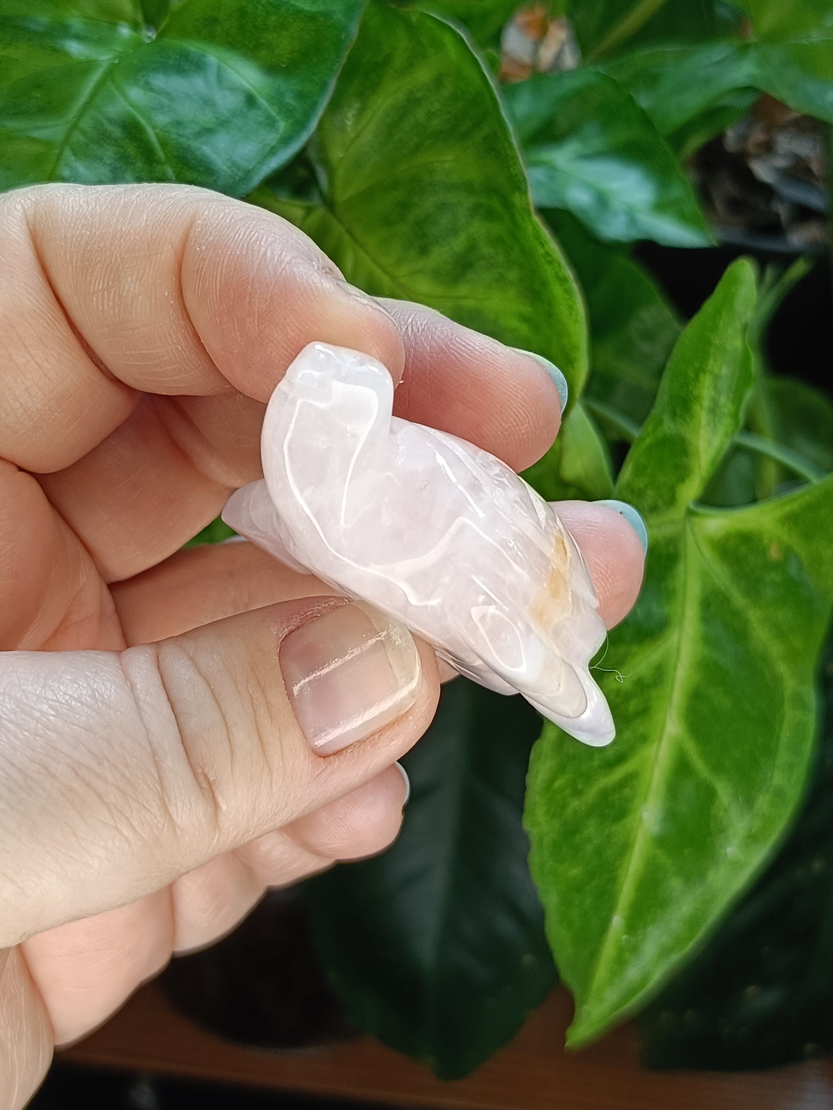 Rose Quartz Sea Turtle Mini Carving - 40g