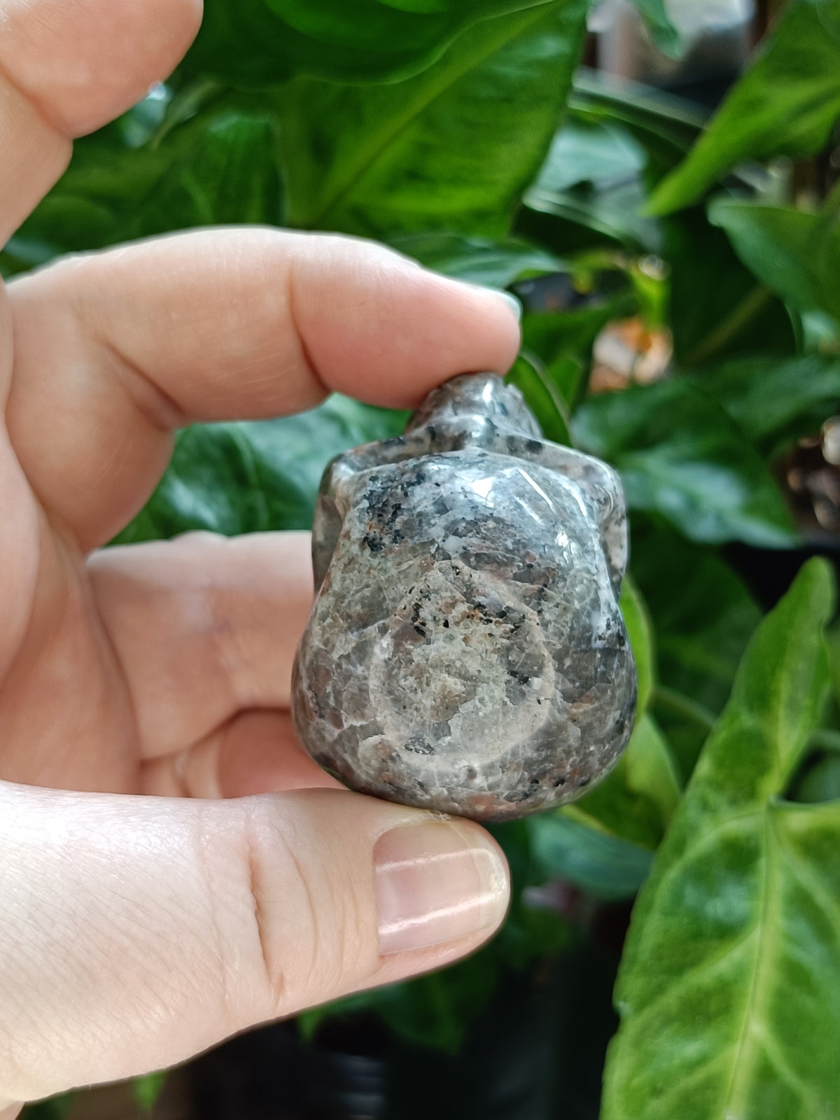 Small Sodalite & Syenite 'Emberlite/Yooperlite' Skull Carving - 100g