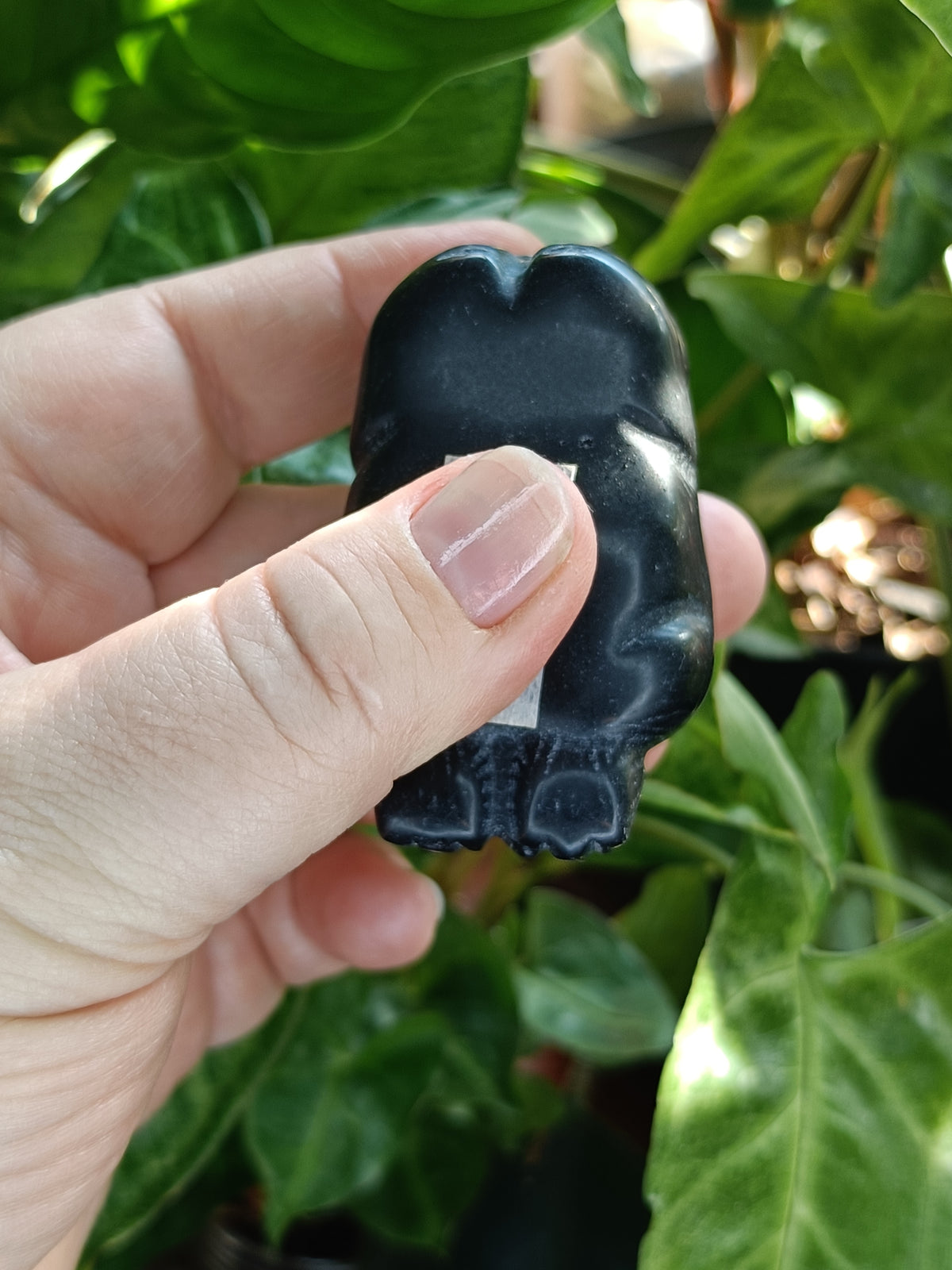 Black Obsidian Laying Down Cat - 97g
