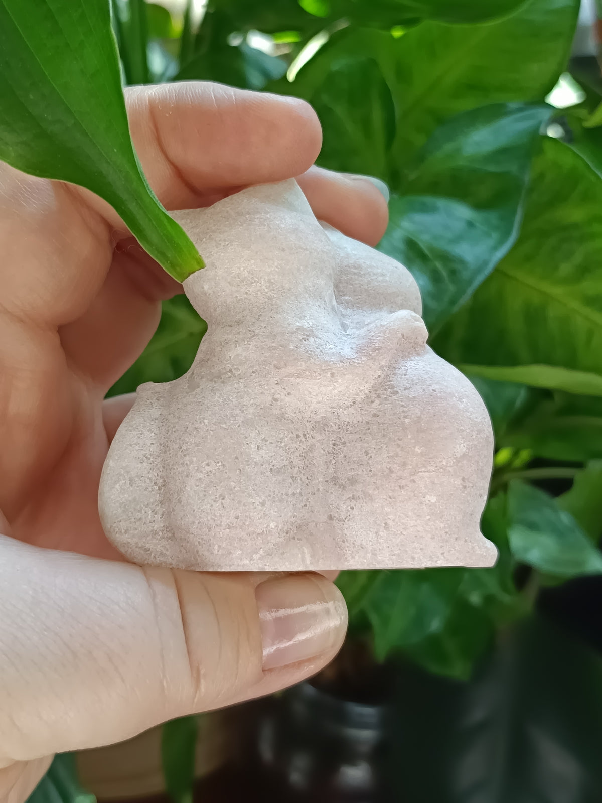 Pink Opal Hugging Cat Carving - 115g