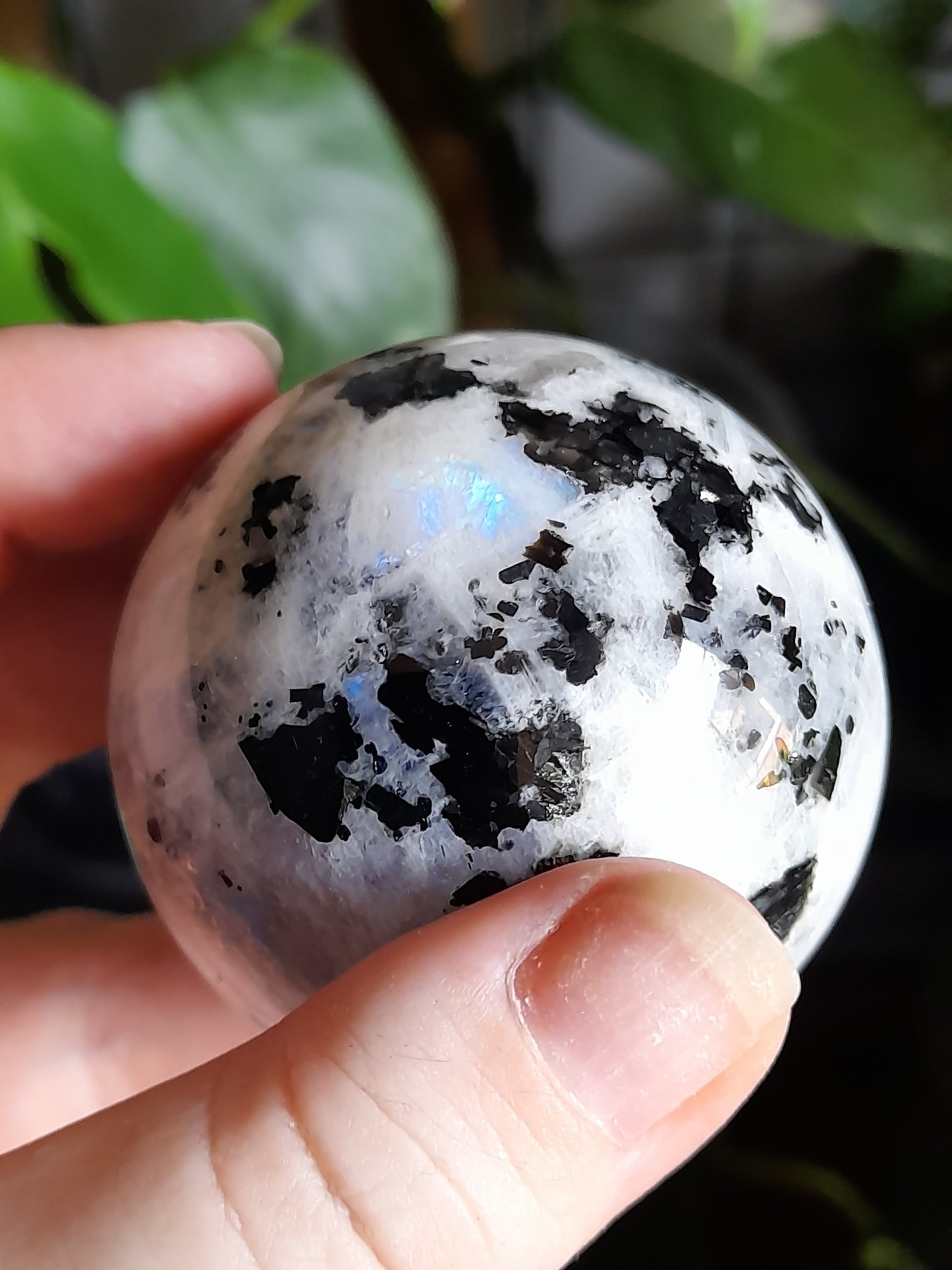 Blue Flash Rainbow Moonstone Sphere - 235g