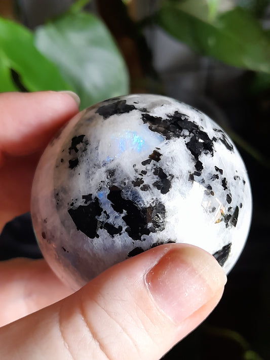 Blue Flash Rainbow Moonstone Sphere - 235g