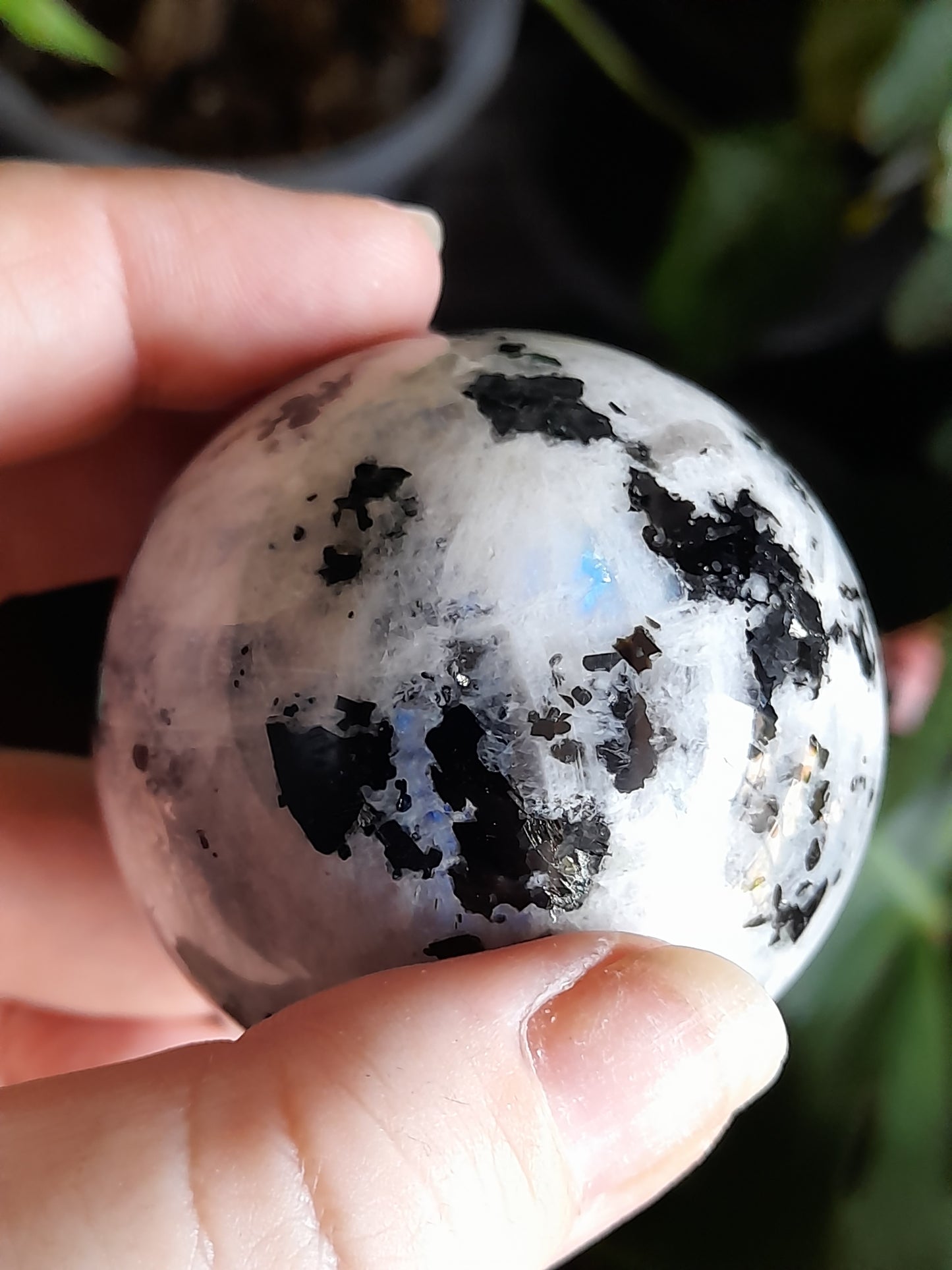 Blue Flash Rainbow Moonstone Sphere - 235g