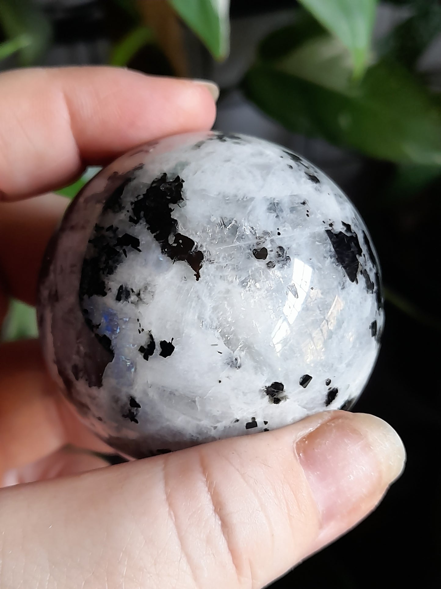 Blue Flash Rainbow Moonstone Sphere - 235g