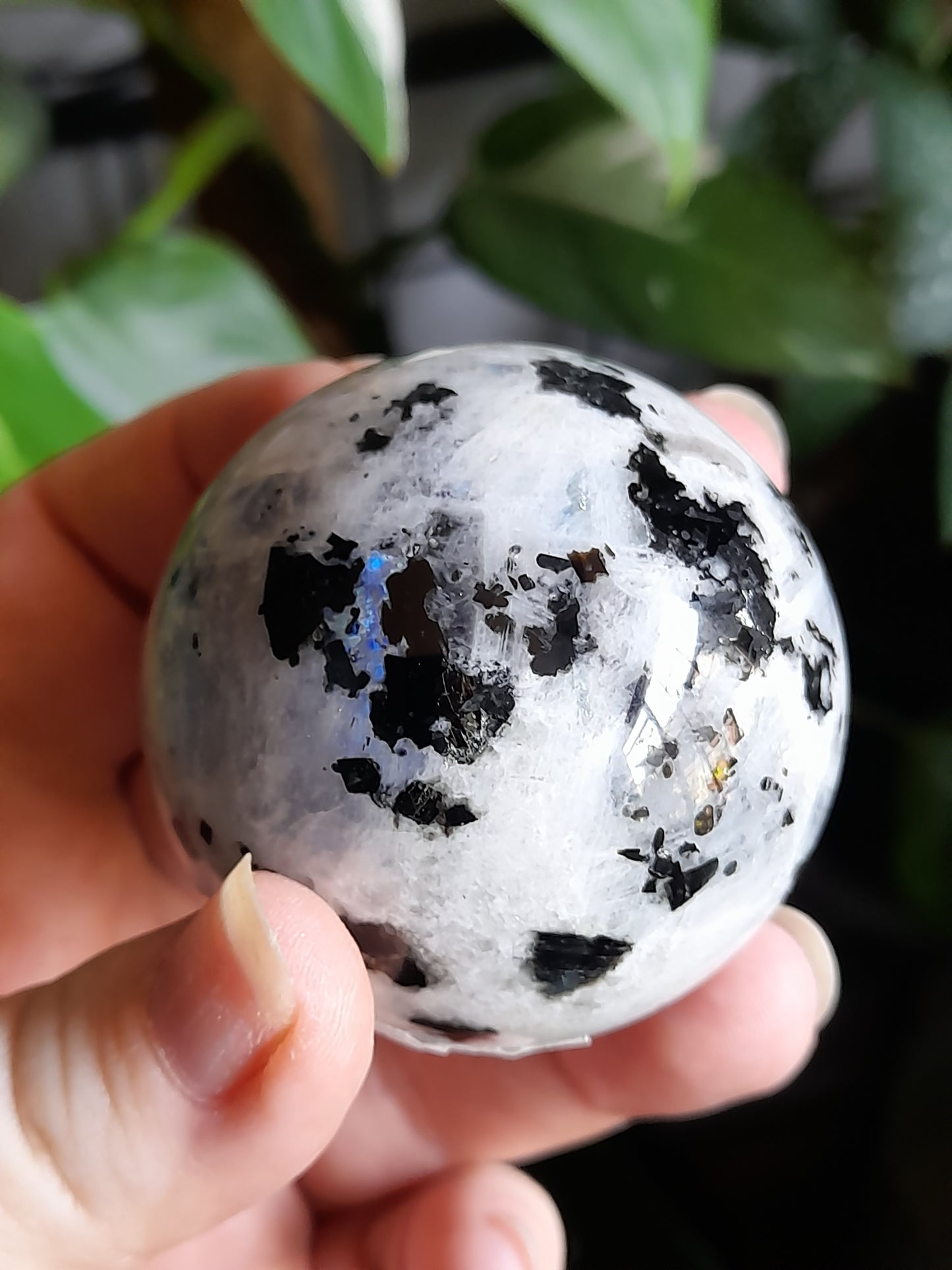 Blue Flash Rainbow Moonstone Sphere - 235g