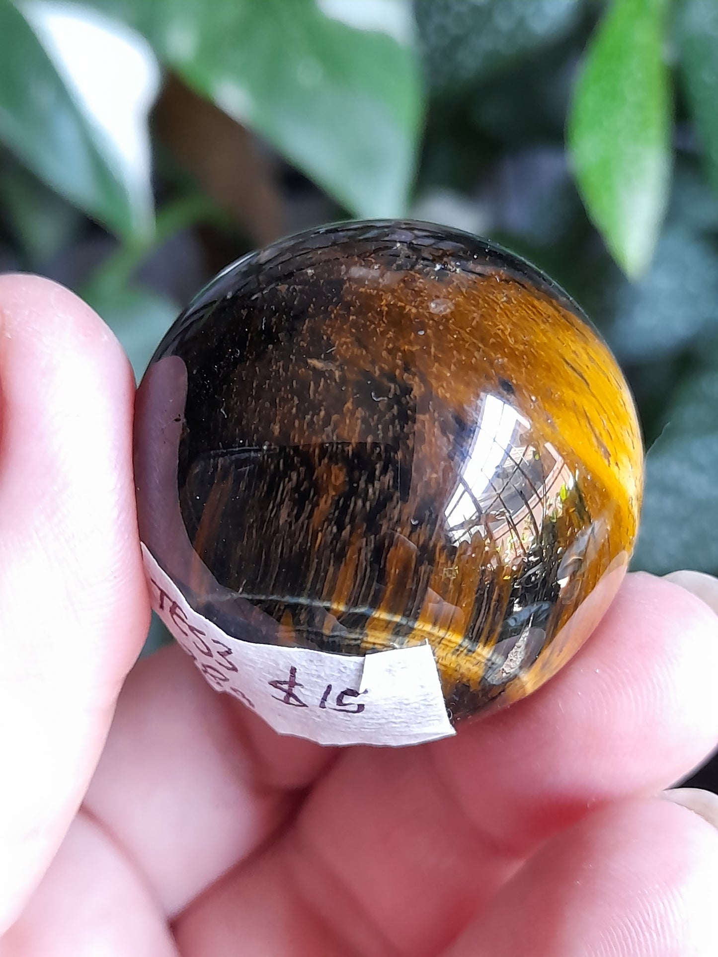 Blue and Gold Tigers Eye Sphere - 78g