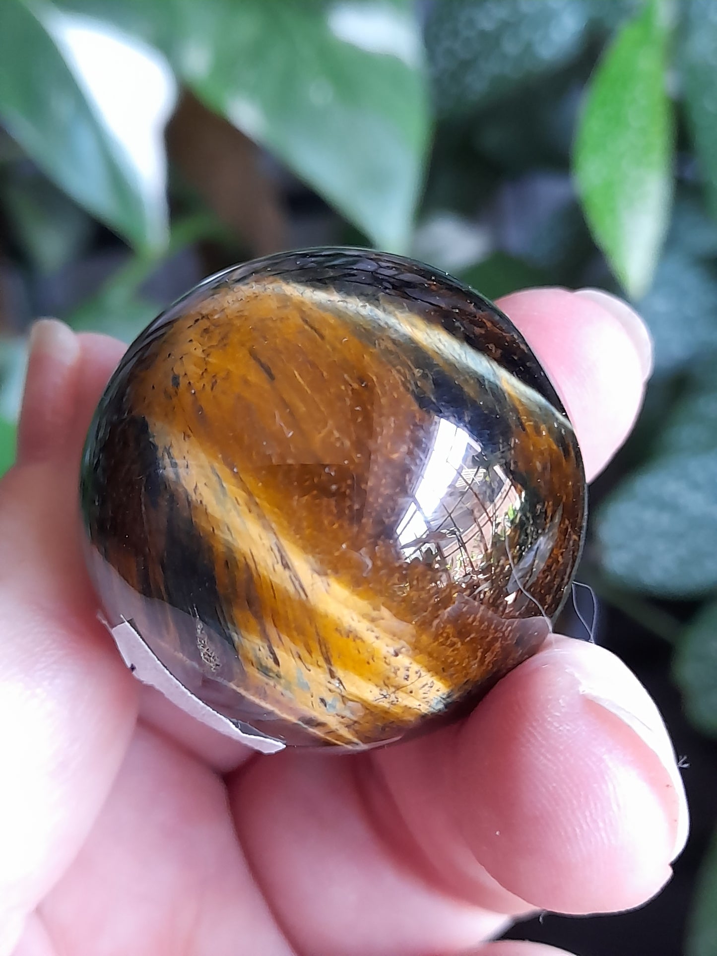 Blue and Gold Tigers Eye Sphere - 78g