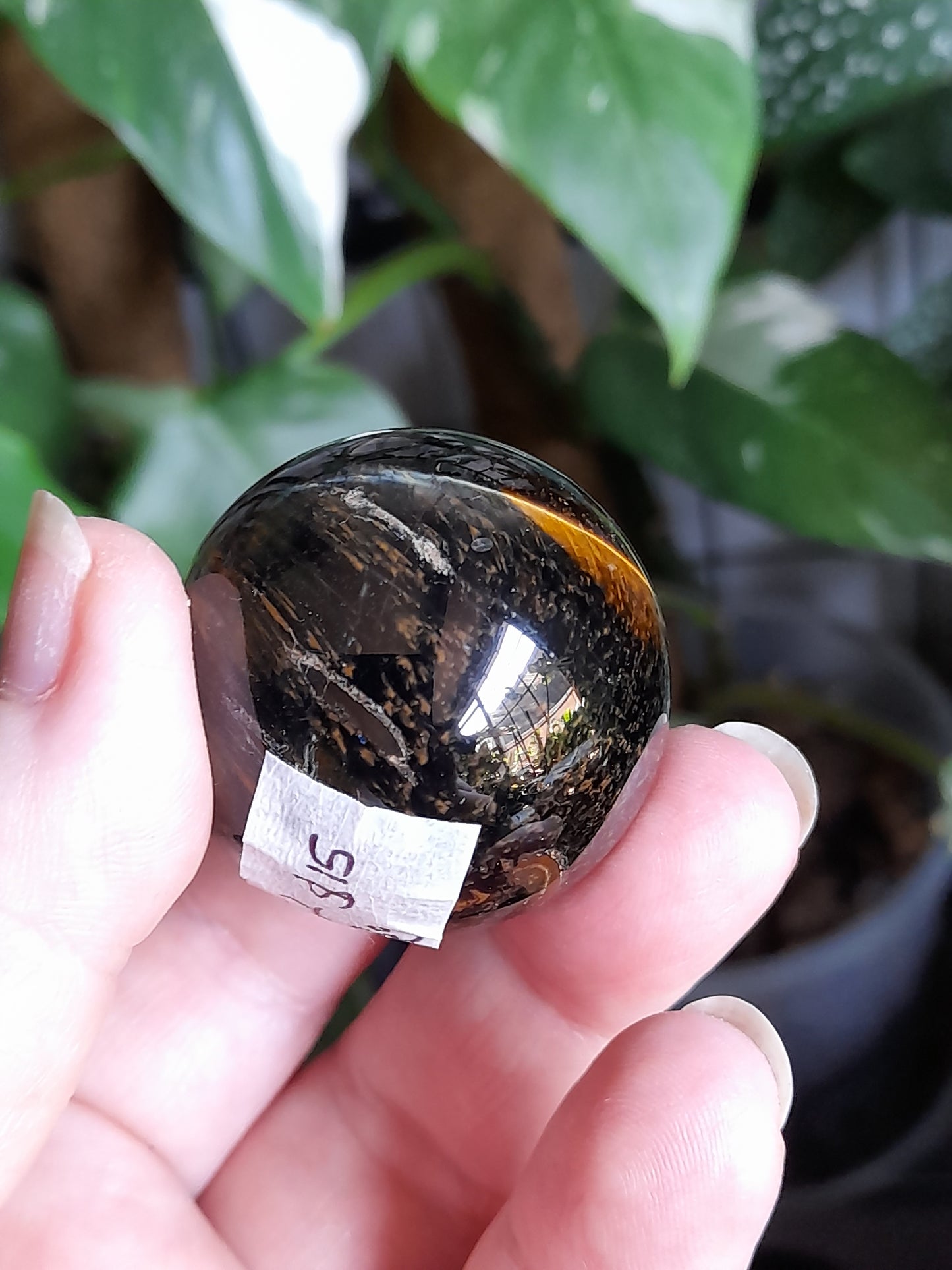 Blue and Gold Tigers Eye Sphere - 73g