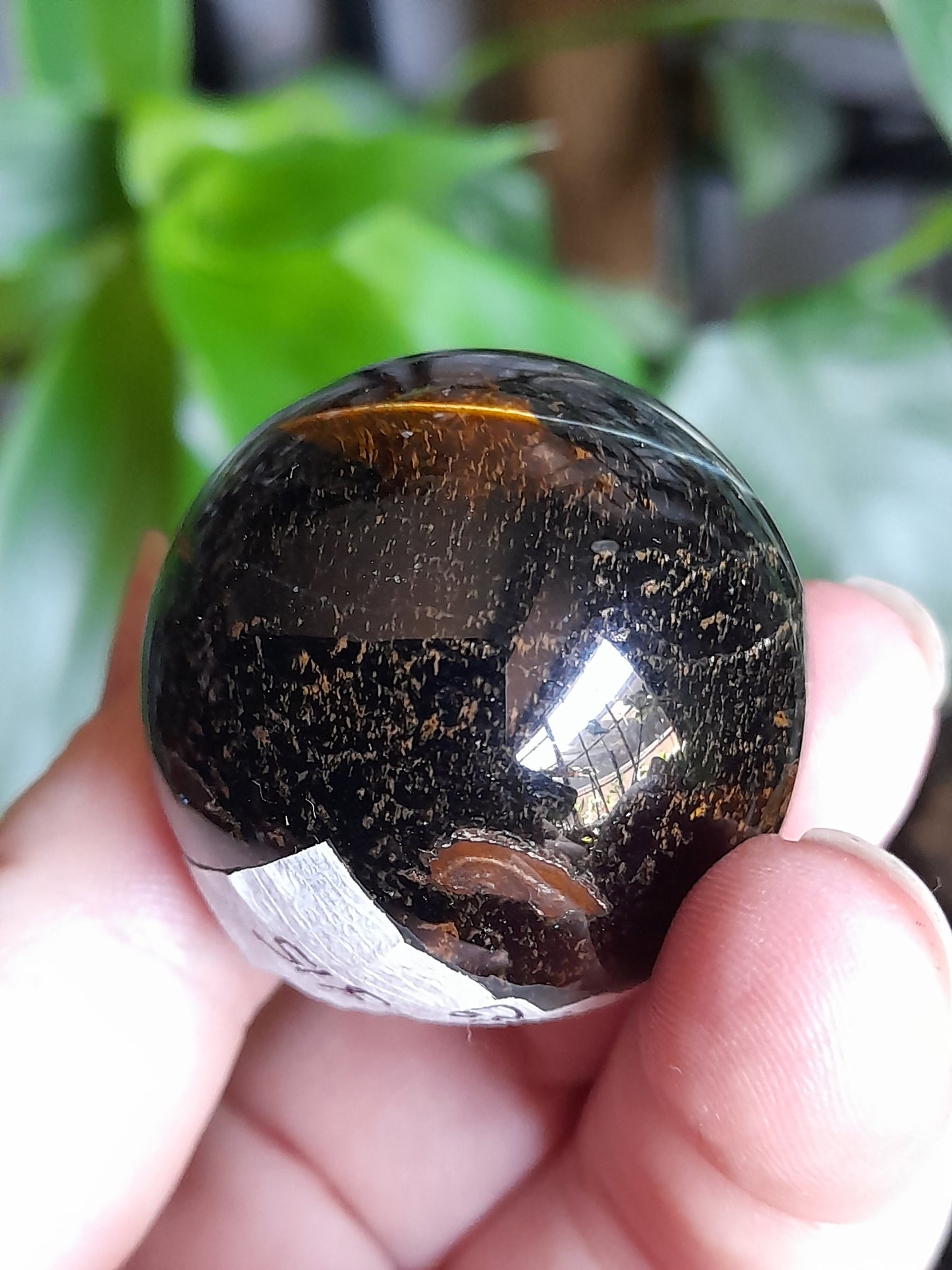 Blue and Gold Tigers Eye Sphere - 73g