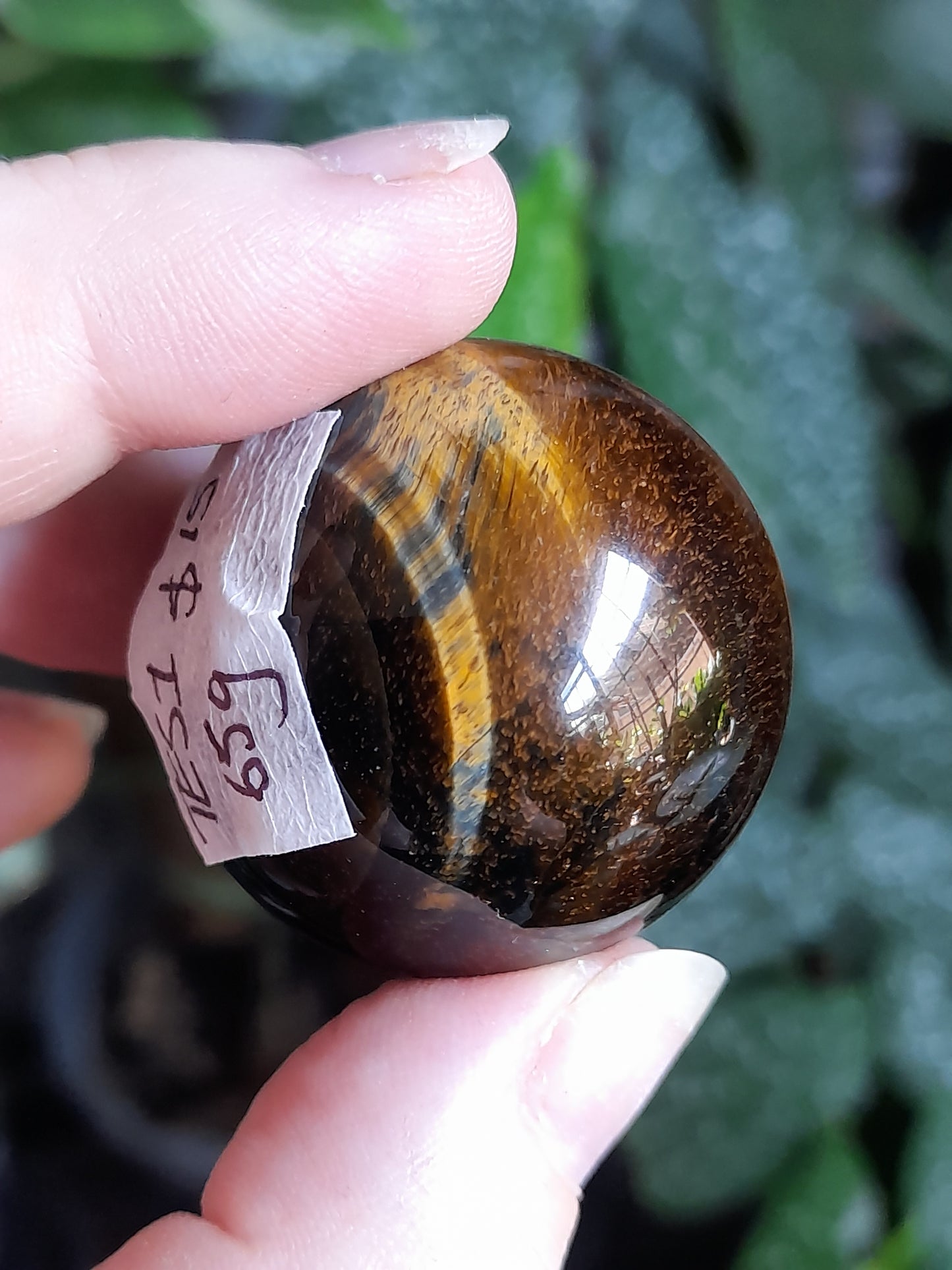 Blue and Gold Tigers Eye Sphere - 65g