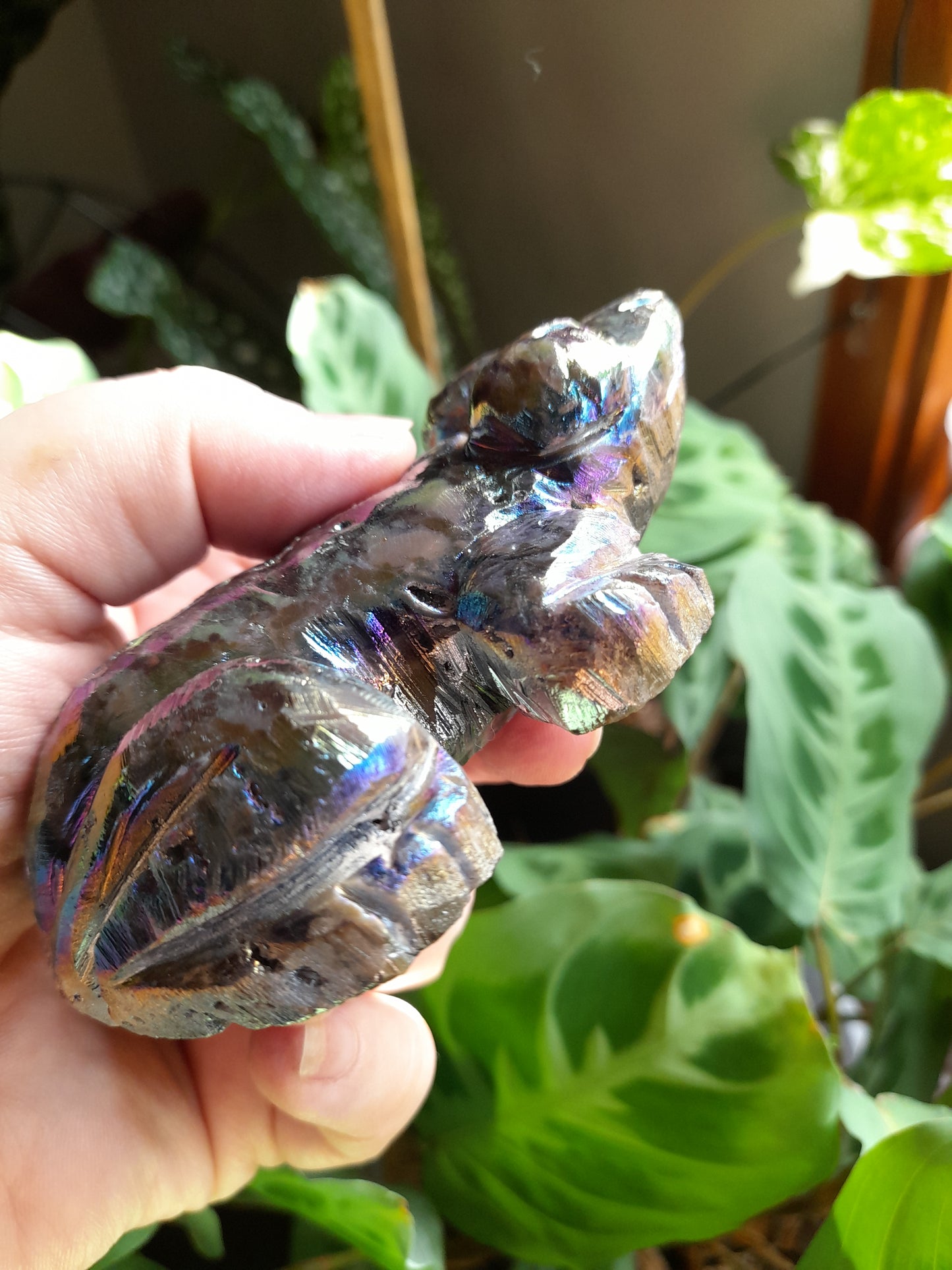 Aura Coated Brecciated Quartz Chalcedony Frog - 263g