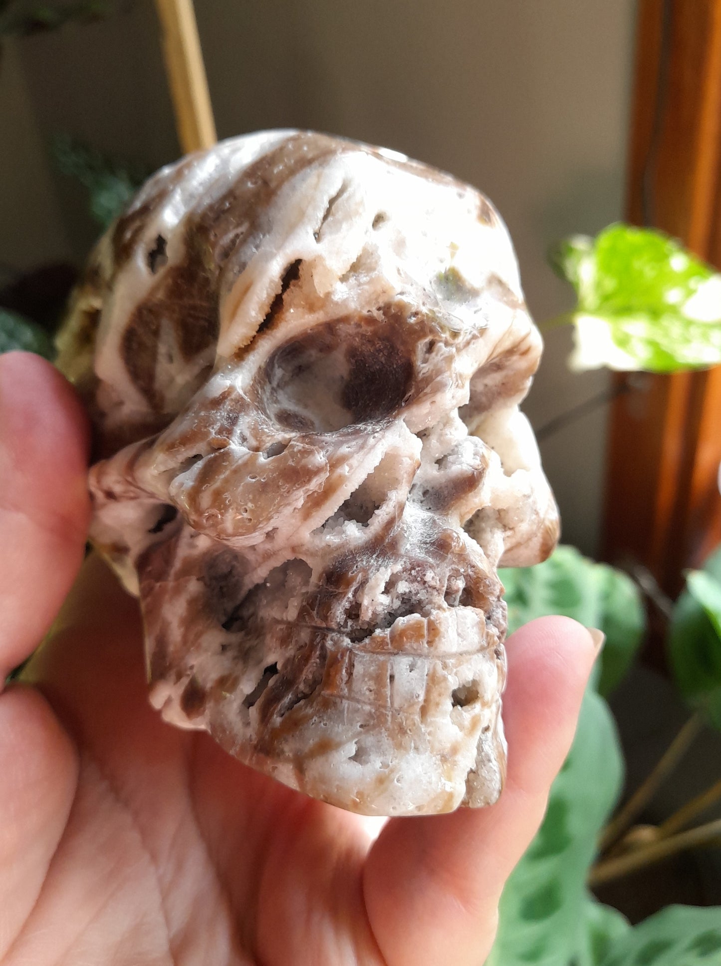 Brecciated Druzy Quartz Chalcedony Skull - 701g