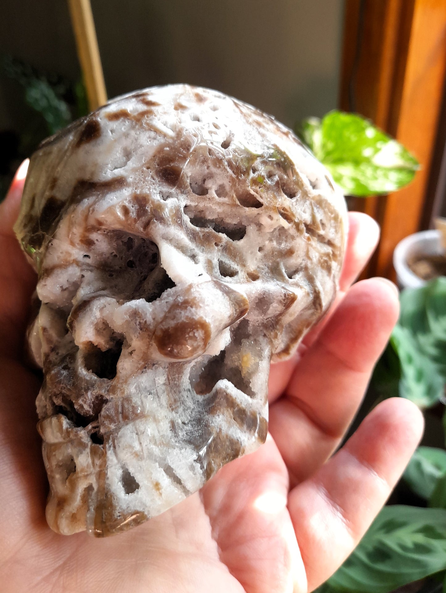 Brecciated Druzy Quartz Chalcedony Skull - 701g
