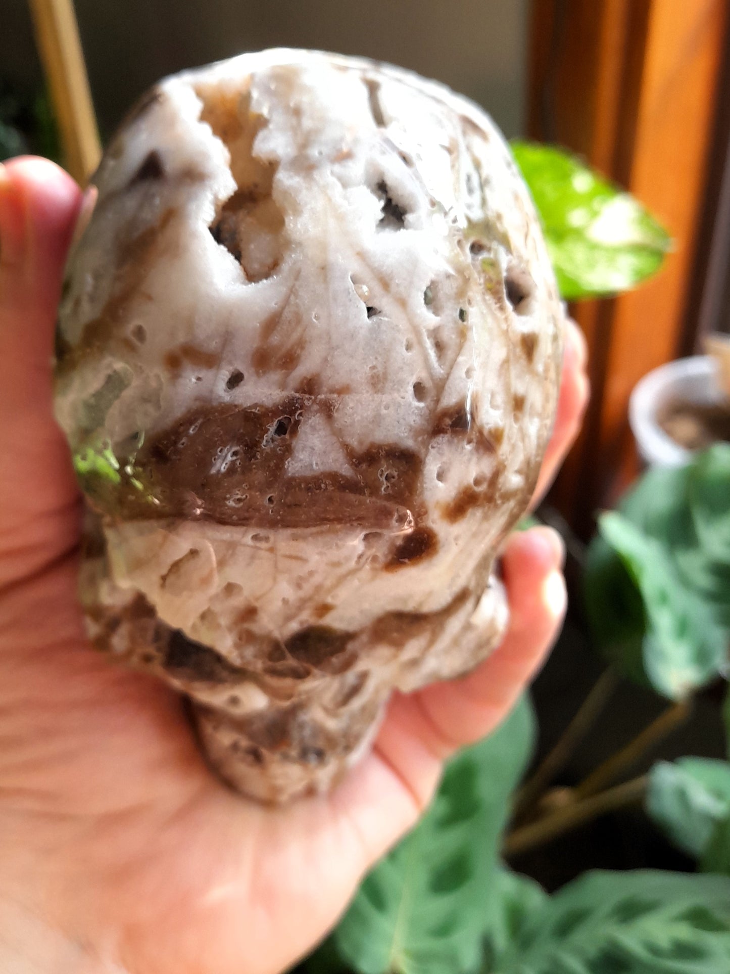 Brecciated Druzy Quartz Chalcedony Skull - 701g
