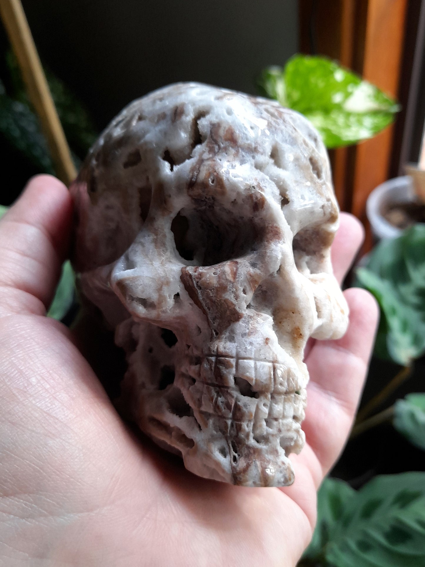Brecciated Druzy Quartz Chalcedony Skull - 632g