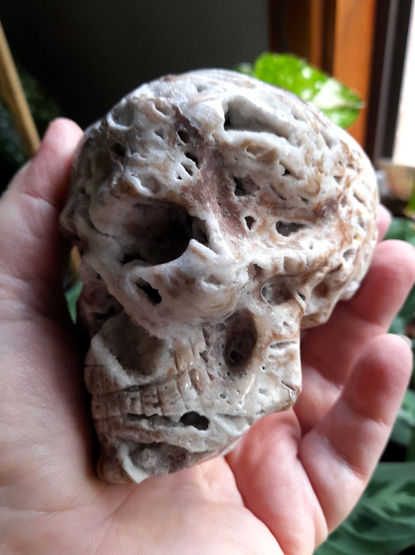 Brecciated Druzy Quartz Chalcedony Skull - 632g