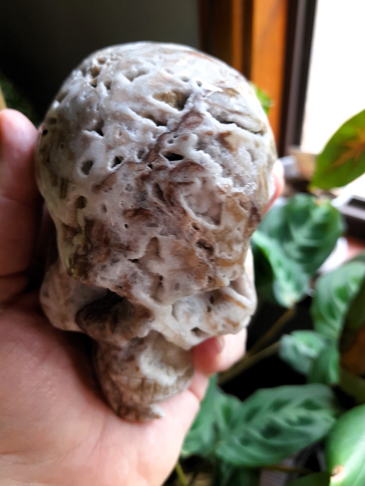 Brecciated Druzy Quartz Chalcedony Skull - 632g